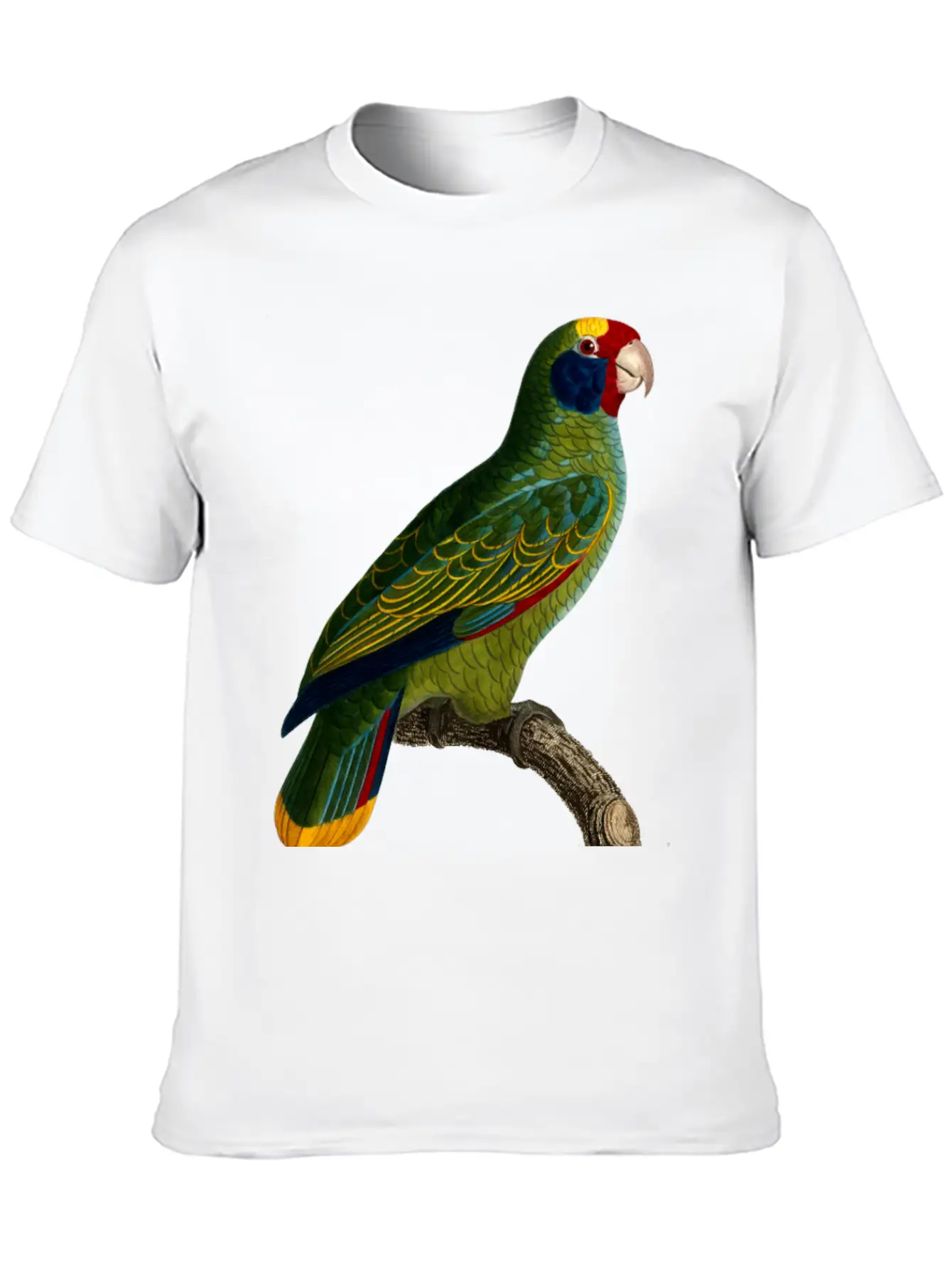 Parrot 43 Unisex Casual T-Shirt – Clean Design For Daily Comfort