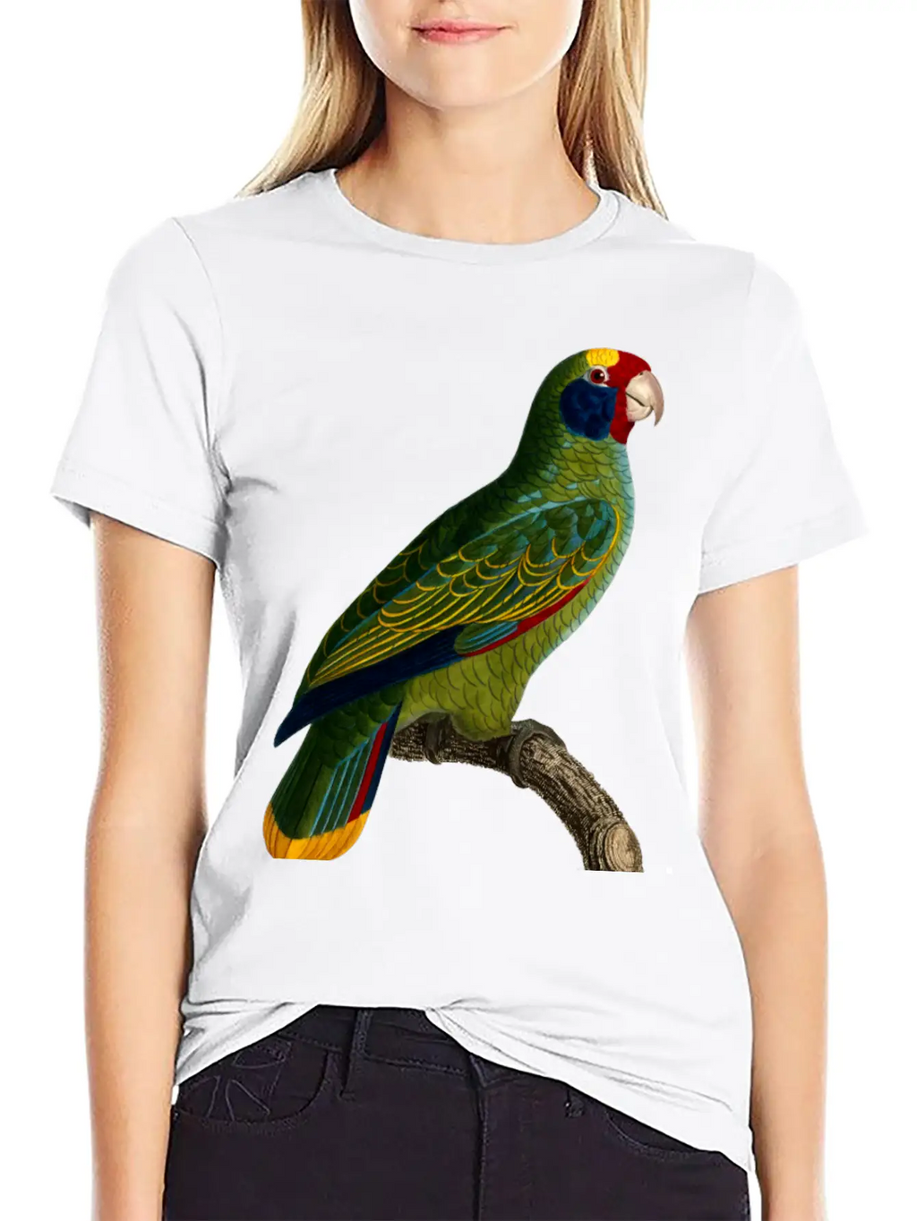 Parrot 43 Unisex Casual T-Shirt – Clean Design For Daily Comfort