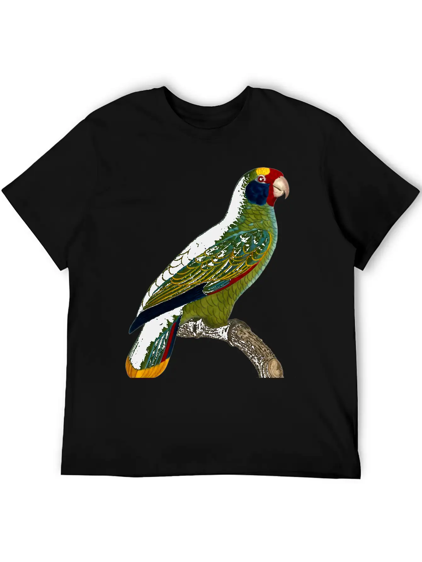 Parrot 43 Unisex Casual T-Shirt – Clean Design For Daily Comfort
