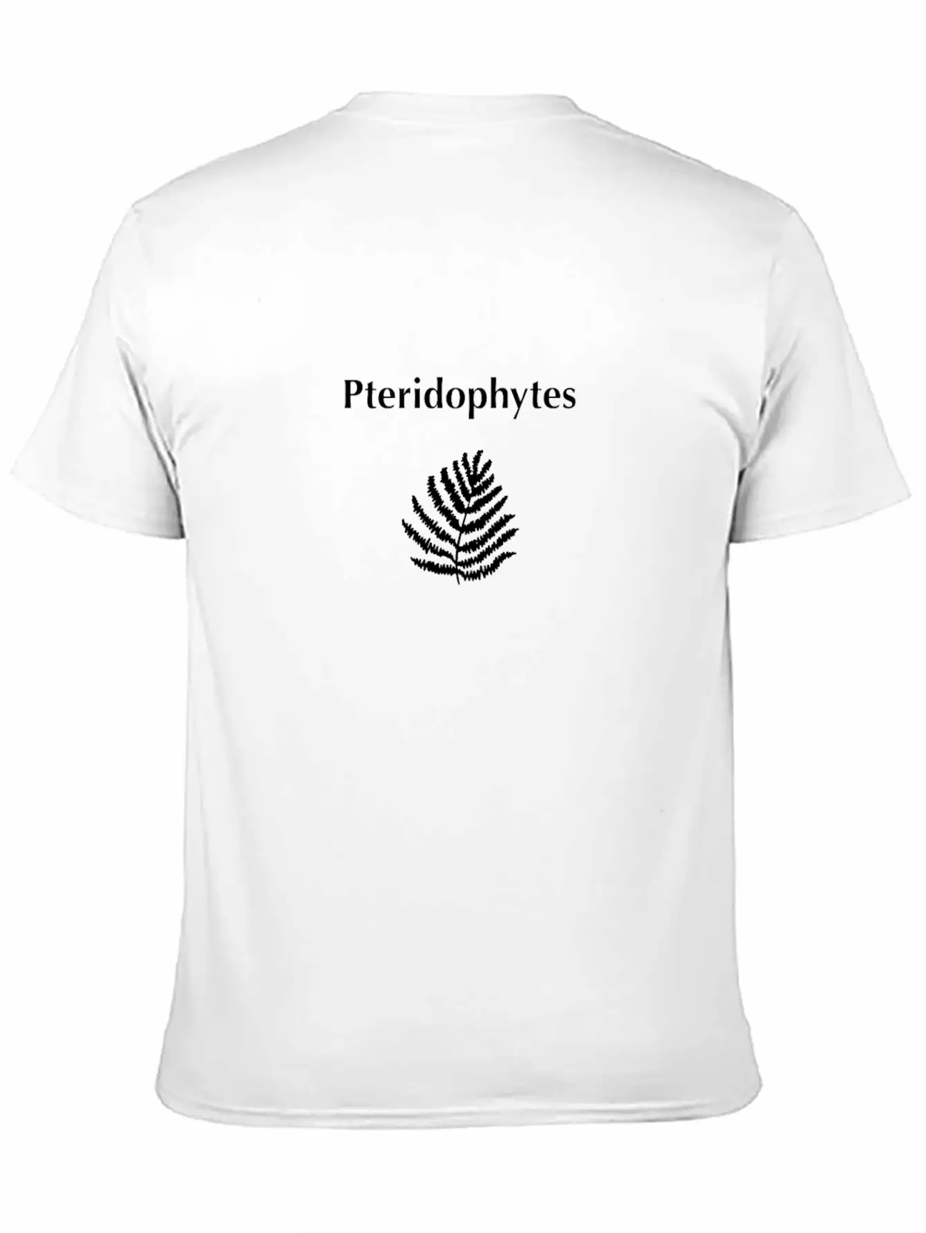 Pteridophytes Timeless Short Sleeve Tee – Comfy And Minimalist Design