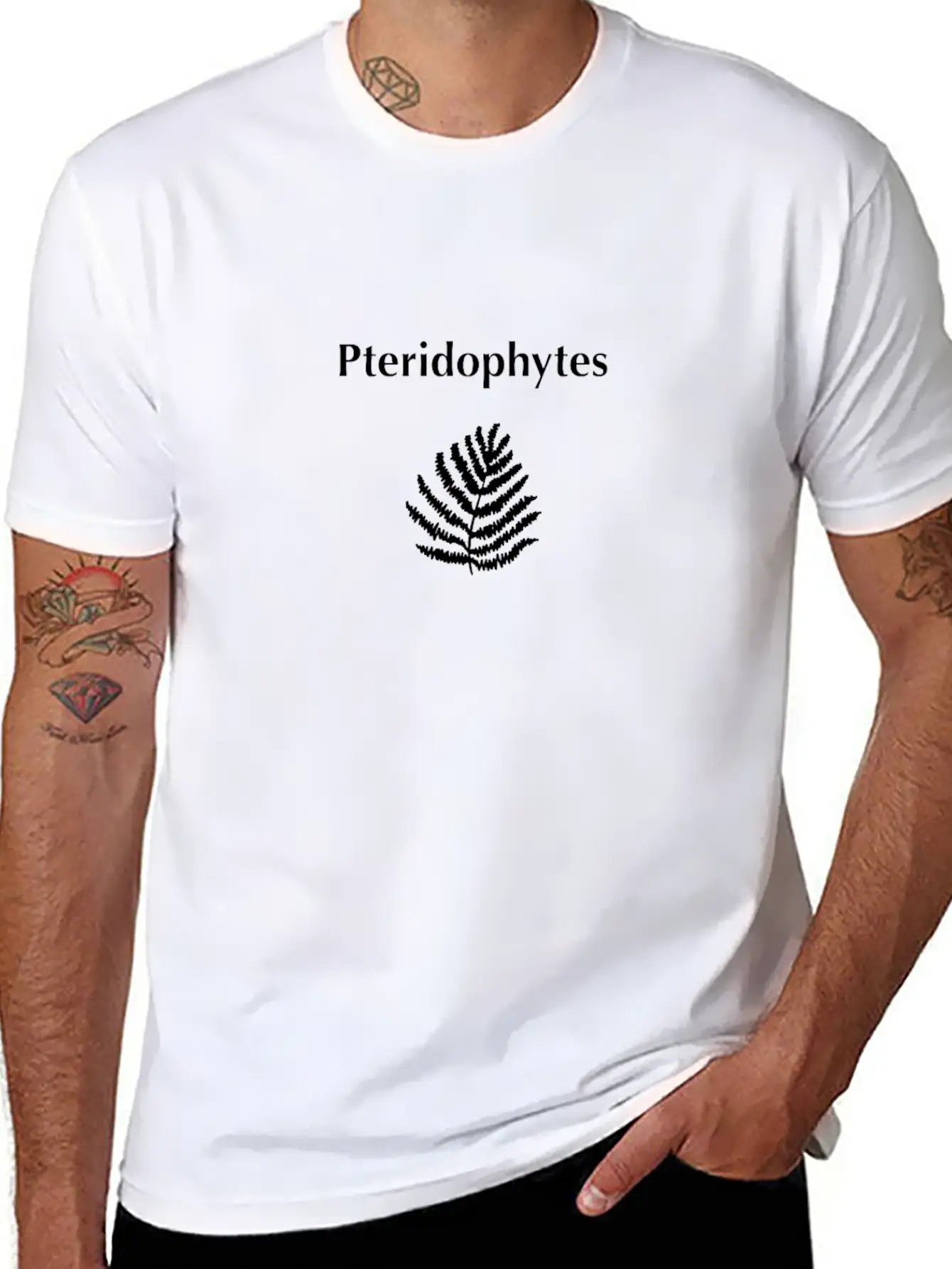 Pteridophytes Timeless Short Sleeve Tee – Comfy And Minimalist Design