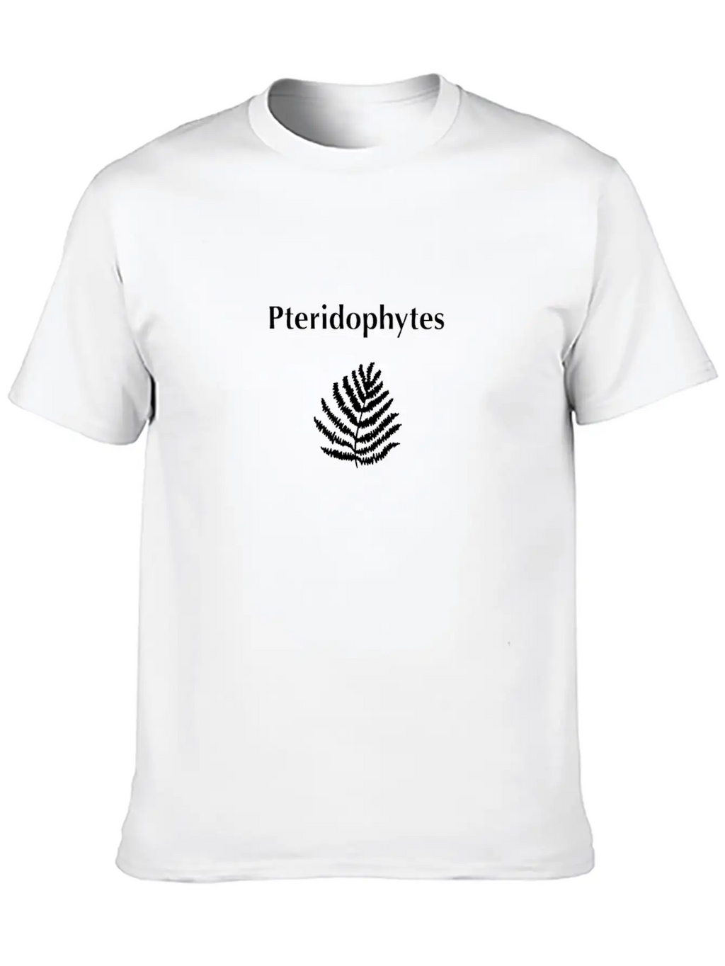 Pteridophytes Timeless Short Sleeve Tee – Comfy And Minimalist Design