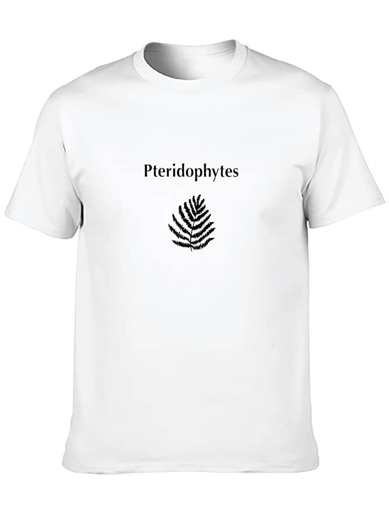 Pteridophytes Timeless Short Sleeve Tee – Comfy And Minimalist Design