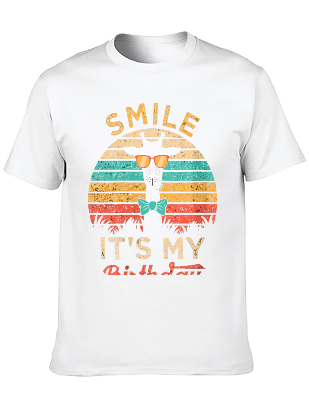 Smile Its My Birthday Giraffe Retro T-Shirt