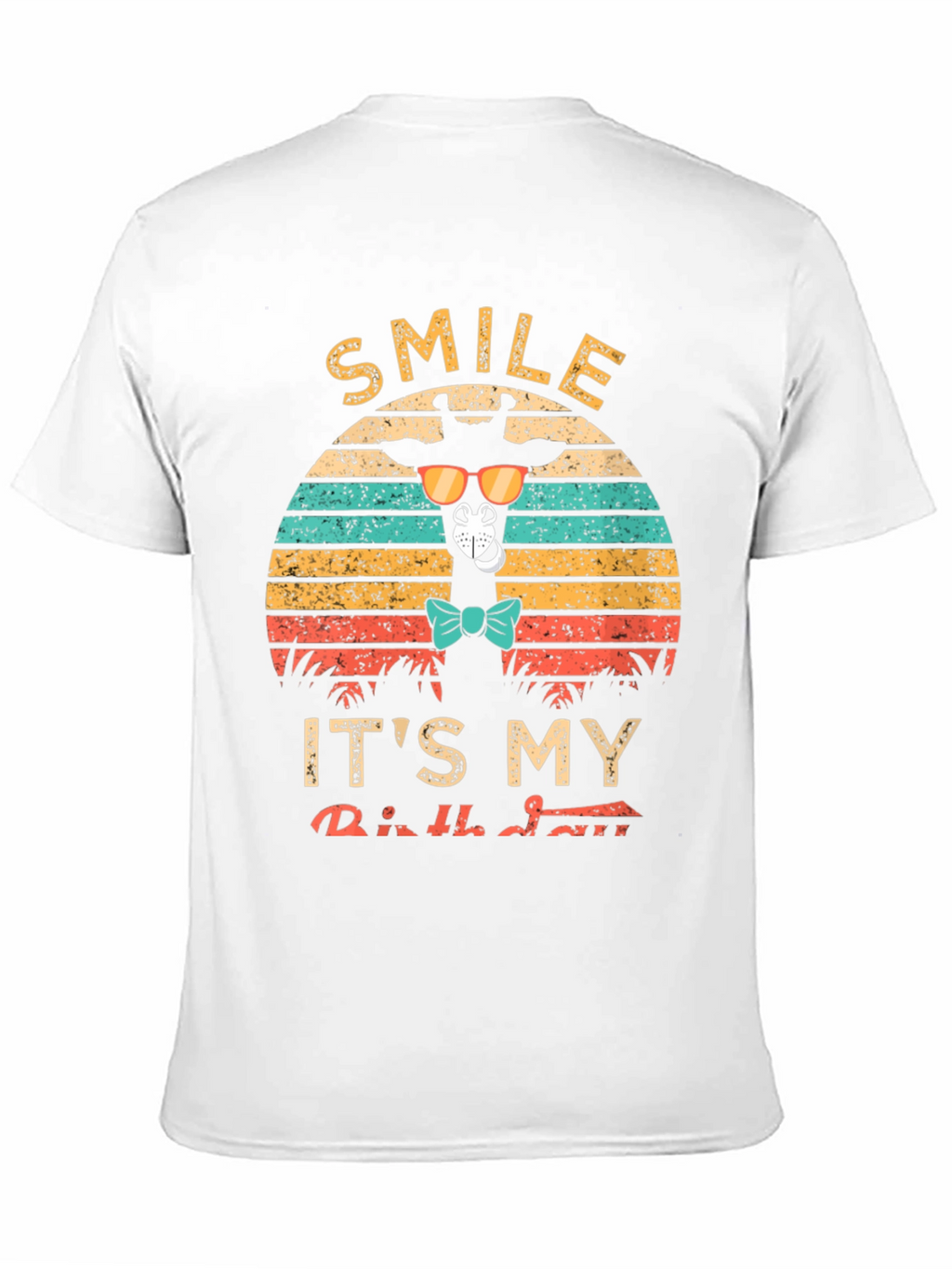 Smile Its My Birthday Giraffe Retro T-Shirt