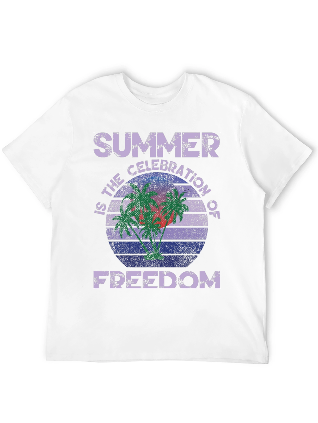 Summer Celebration of Freedom Graphic T-Shirt