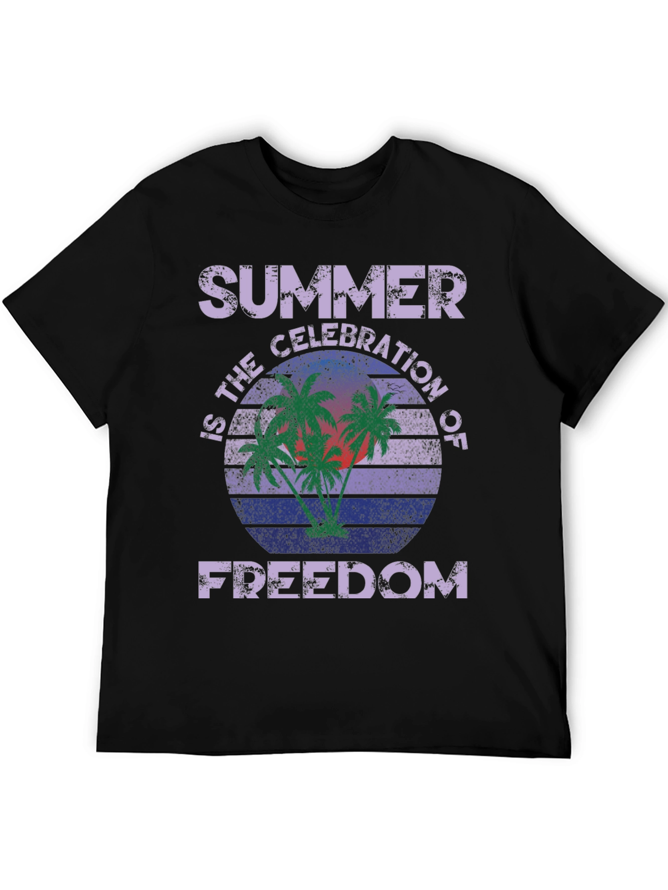 Summer Celebration of Freedom Graphic T-Shirt