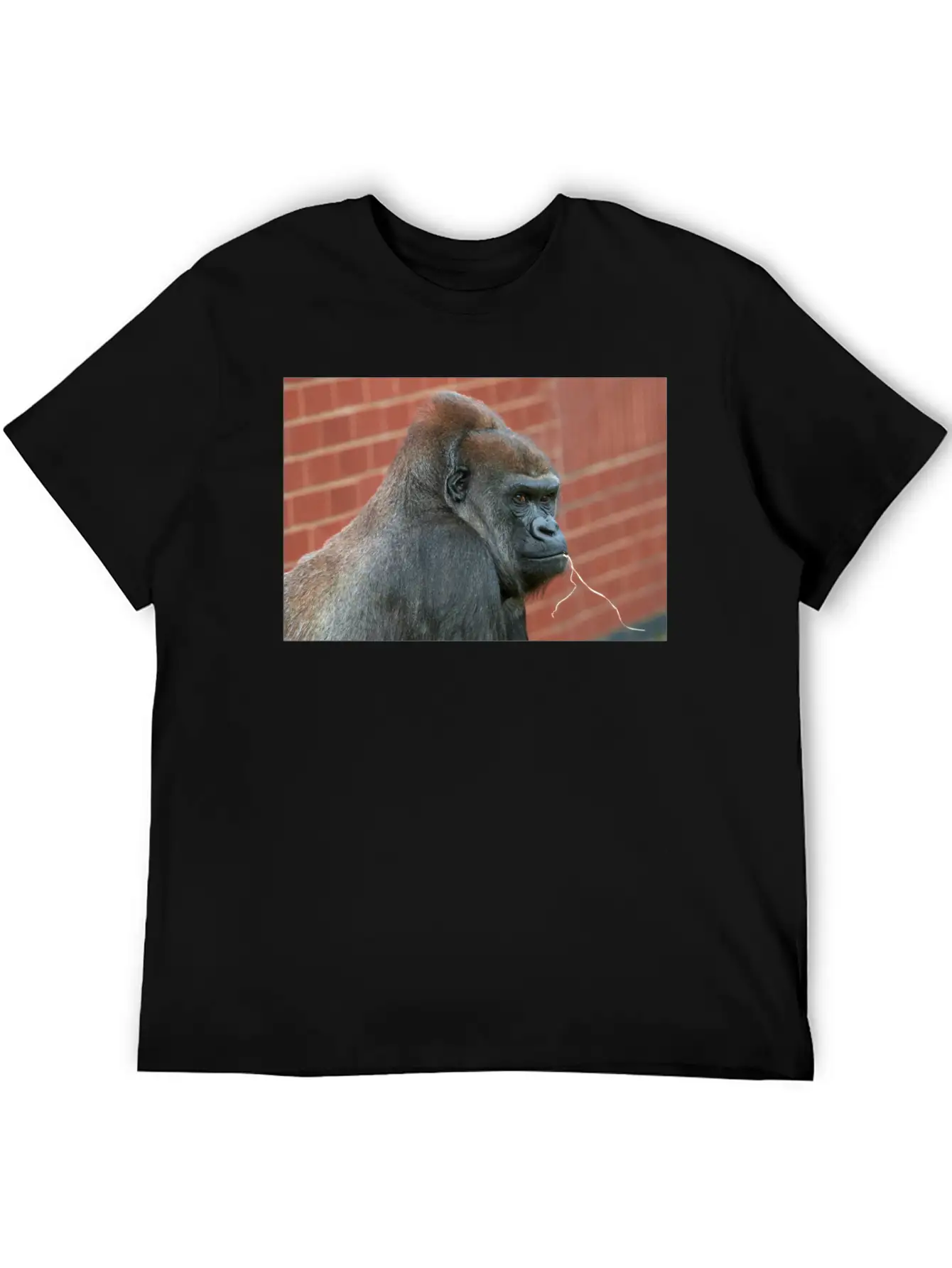 Resilient Gorilla Mother Basic Graphic T-Shirt – Daily Comfort In Soft Cotton
