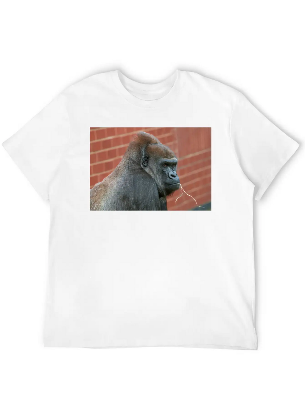 Resilient Gorilla Mother Basic Graphic T-Shirt – Daily Comfort In Soft Cotton