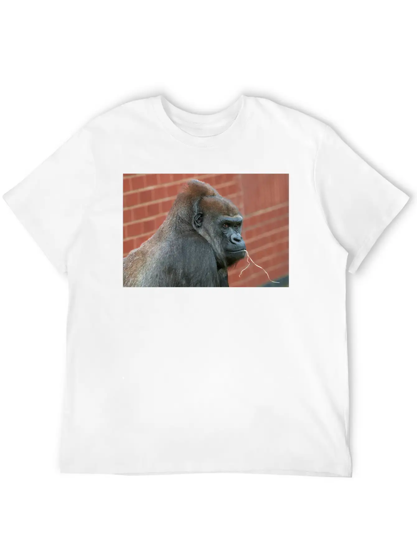 Resilient Gorilla Mother Basic Graphic T-Shirt – Daily Comfort In Soft Cotton