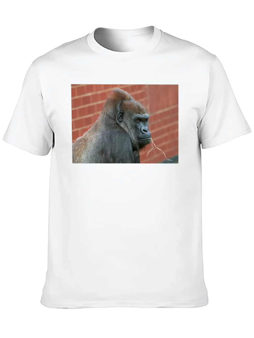 Resilient Gorilla Mother Basic Graphic T-Shirt – Daily Comfort In Soft Cotton