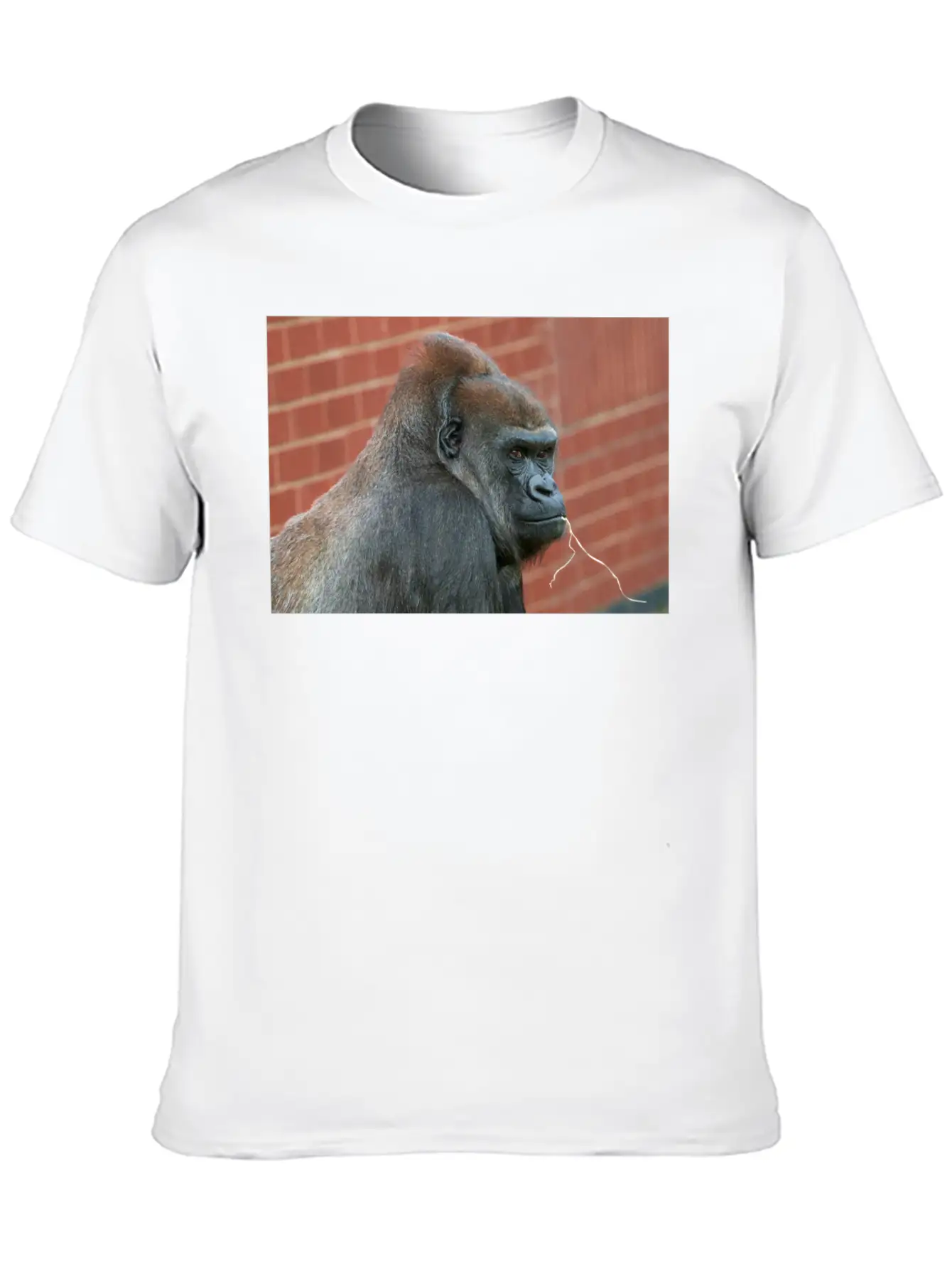 Resilient Gorilla Mother Basic Graphic T-Shirt – Daily Comfort In Soft Cotton