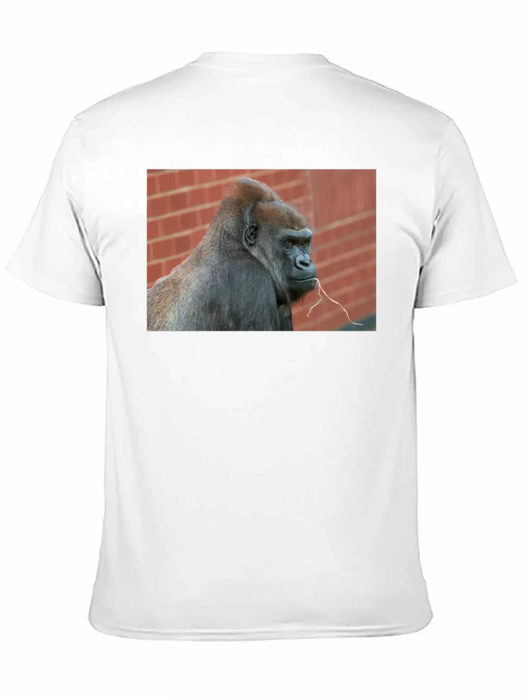 Resilient Gorilla Mother Basic Graphic T-Shirt – Daily Comfort In Soft Cotton