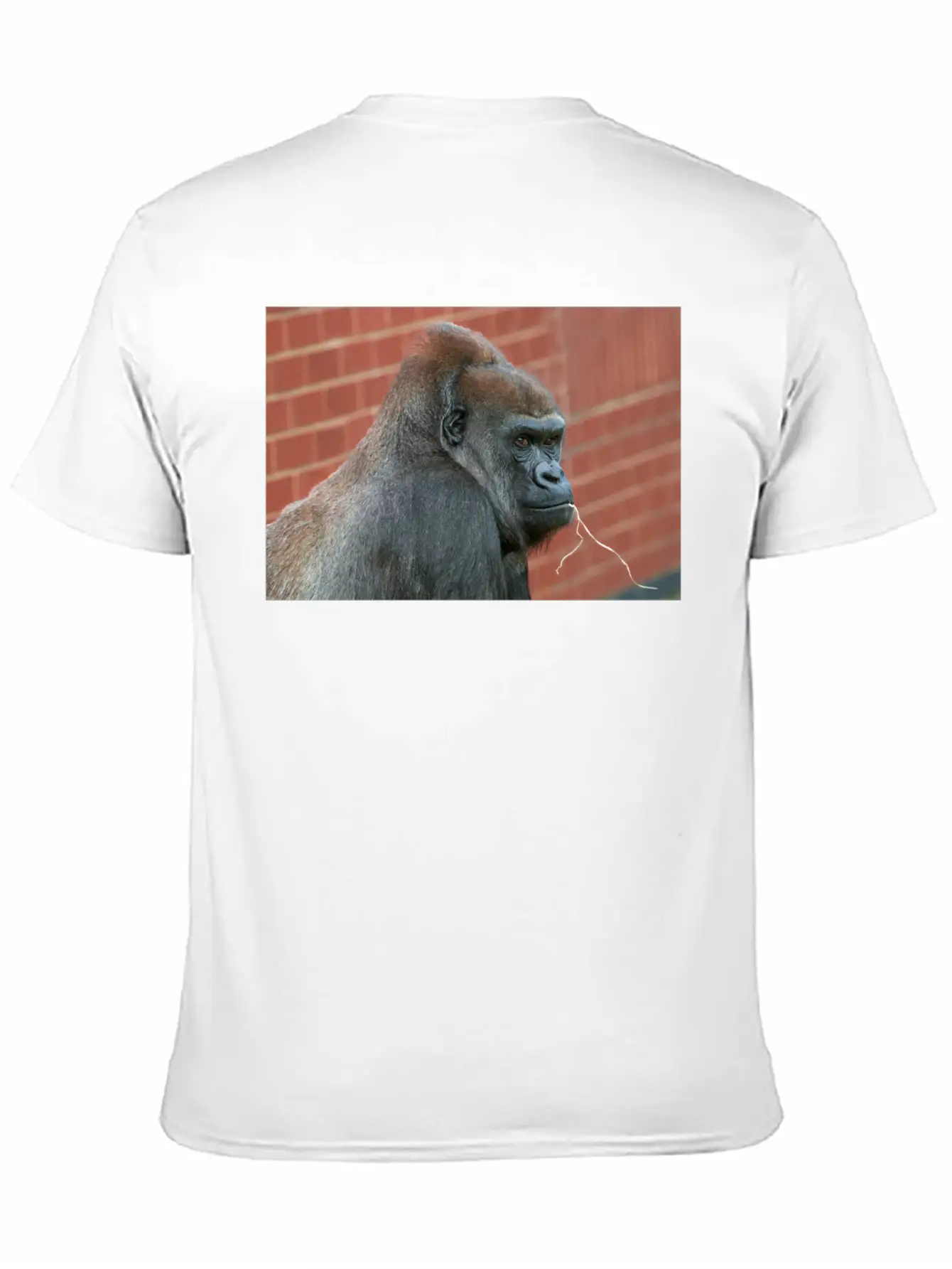 Resilient Gorilla Mother Basic Graphic T-Shirt – Daily Comfort In Soft Cotton