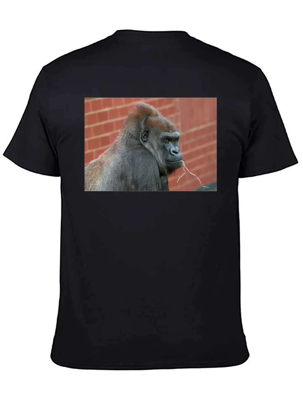 Resilient Gorilla Mother Basic Graphic T-Shirt – Daily Comfort In Soft Cotton