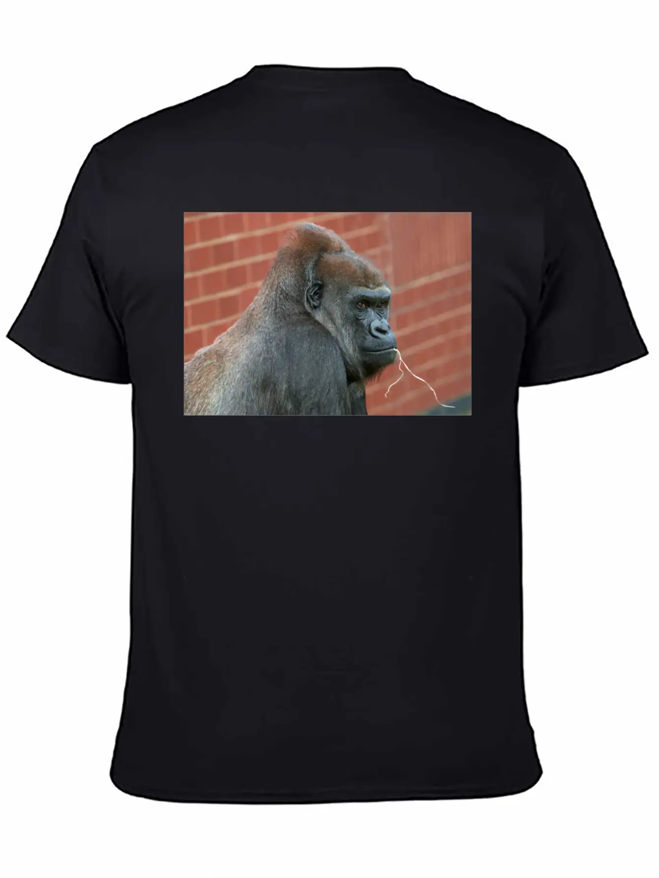 Resilient Gorilla Mother Basic Graphic T-Shirt – Daily Comfort In Soft Cotton