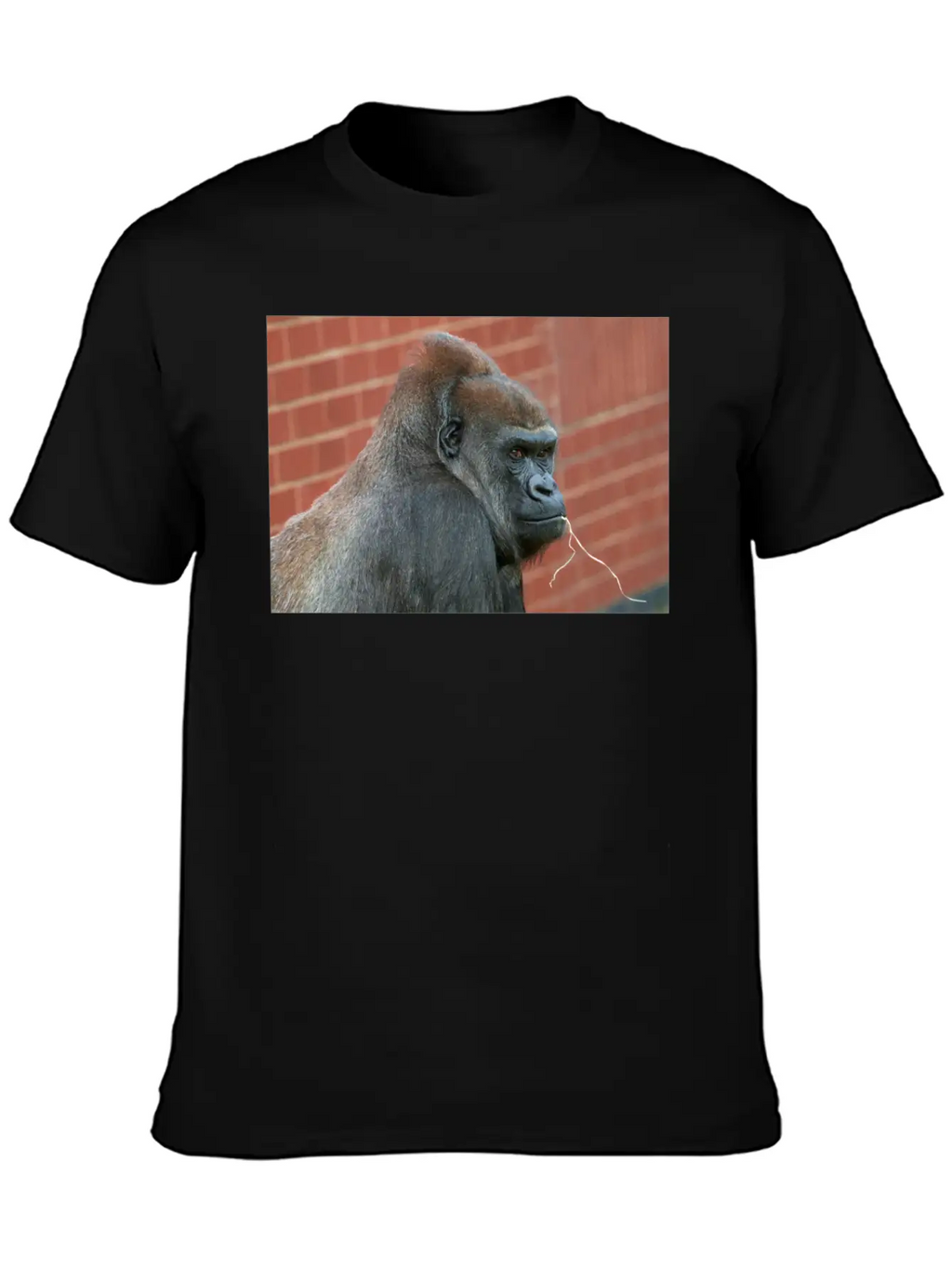 Resilient Gorilla Mother Basic Graphic T-Shirt – Daily Comfort In Soft Cotton
