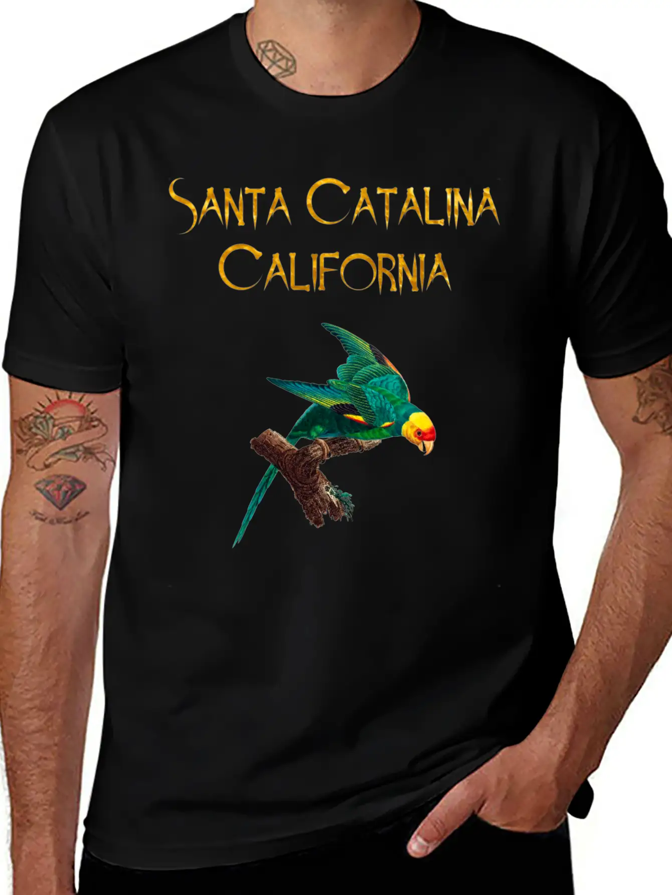Santa Catalina California Stylish Everyday T-Shirt – Unisex Basic Cotton Tee