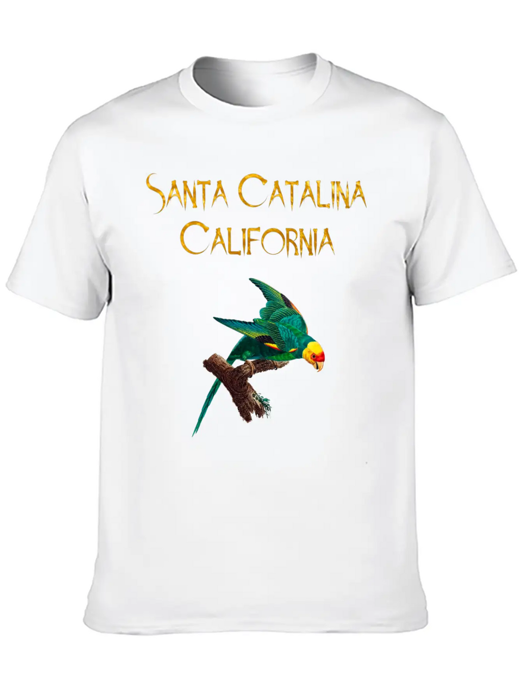 Santa Catalina California Stylish Everyday T-Shirt – Unisex Basic Cotton Tee