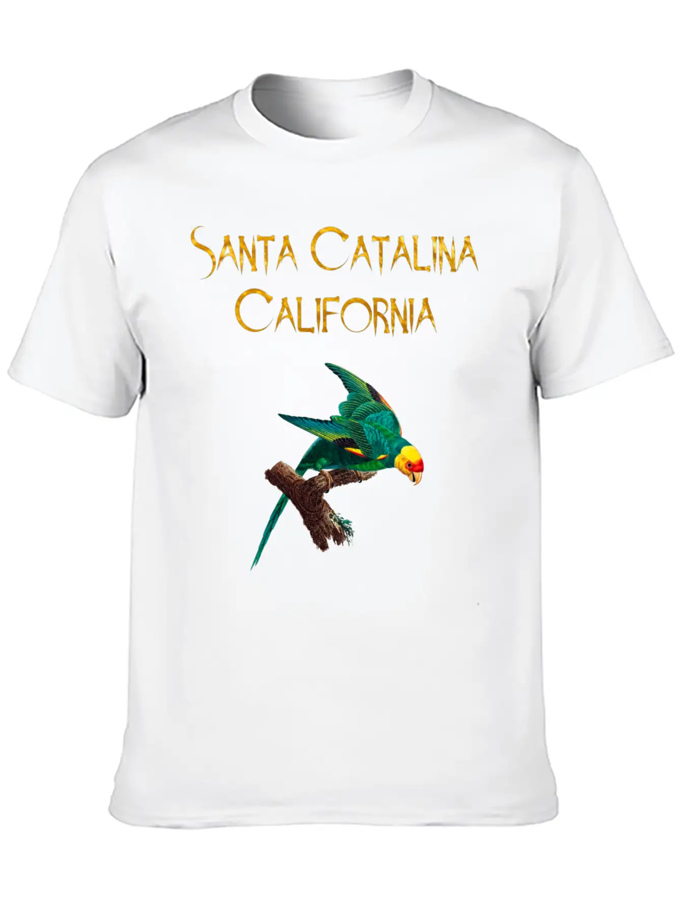 Santa Catalina California Stylish Everyday T-Shirt – Unisex Basic Cotton Tee