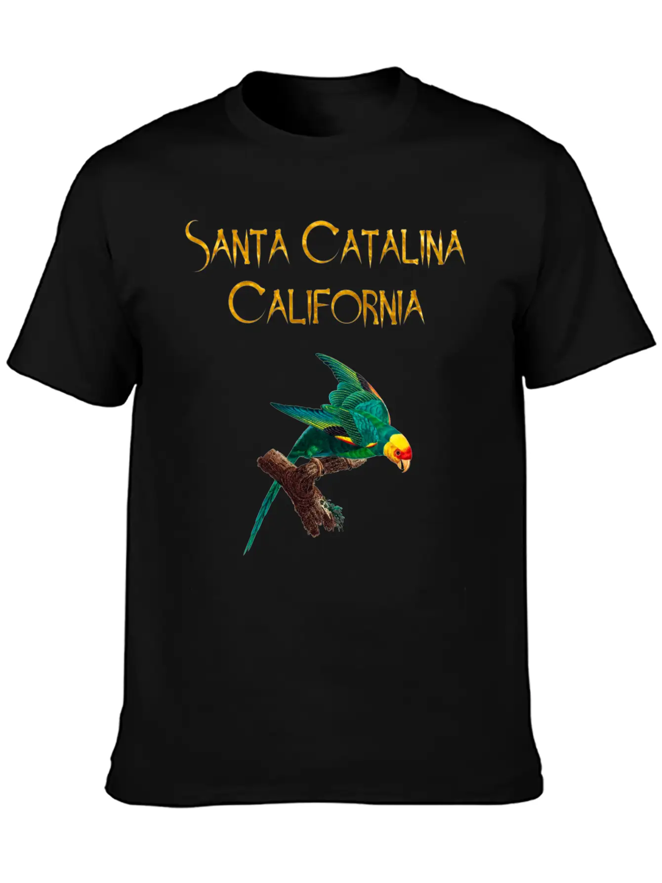 Santa Catalina California Stylish Everyday T-Shirt – Unisex Basic Cotton Tee