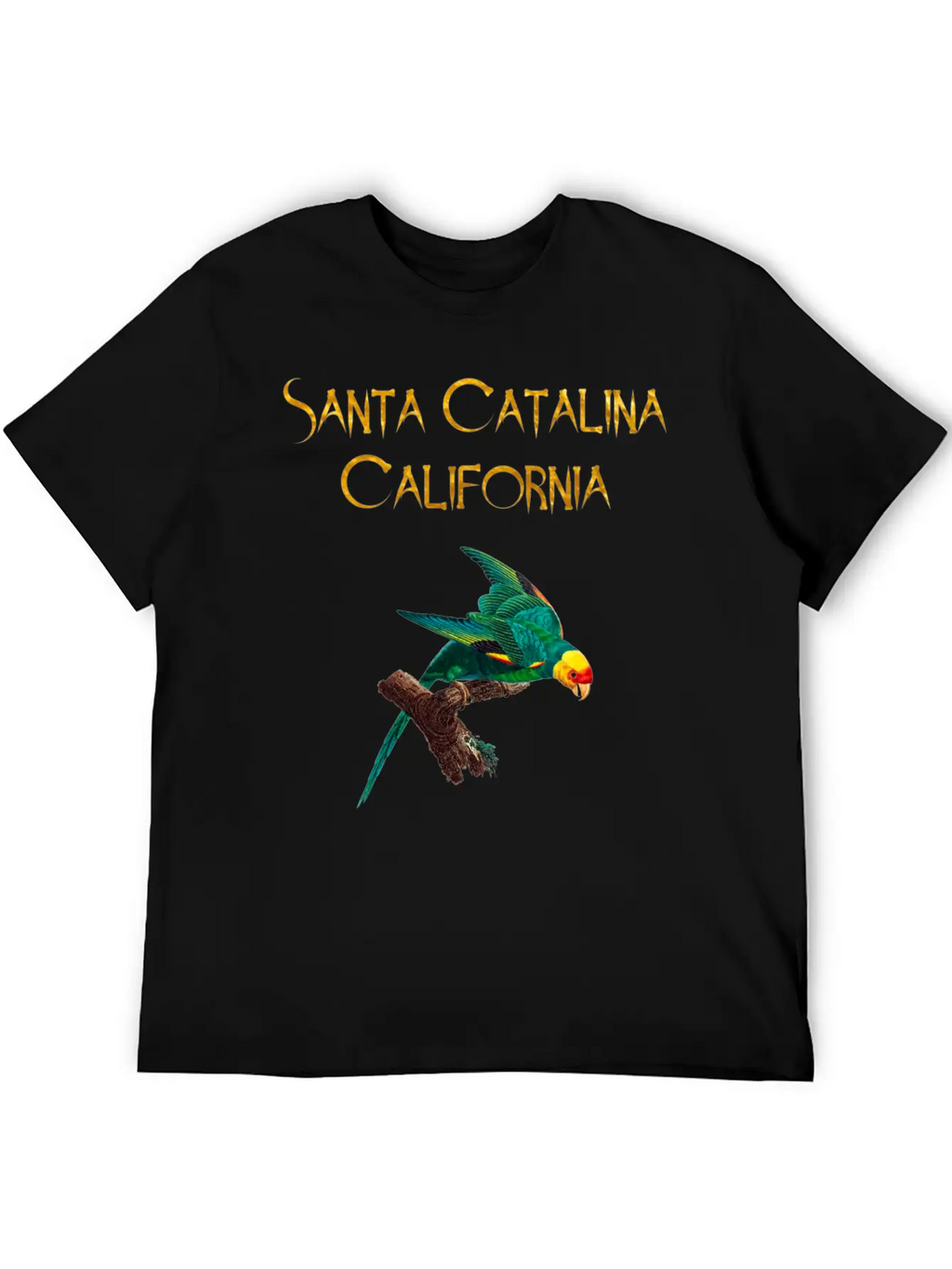 Santa Catalina California Stylish Everyday T-Shirt – Unisex Basic Cotton Tee