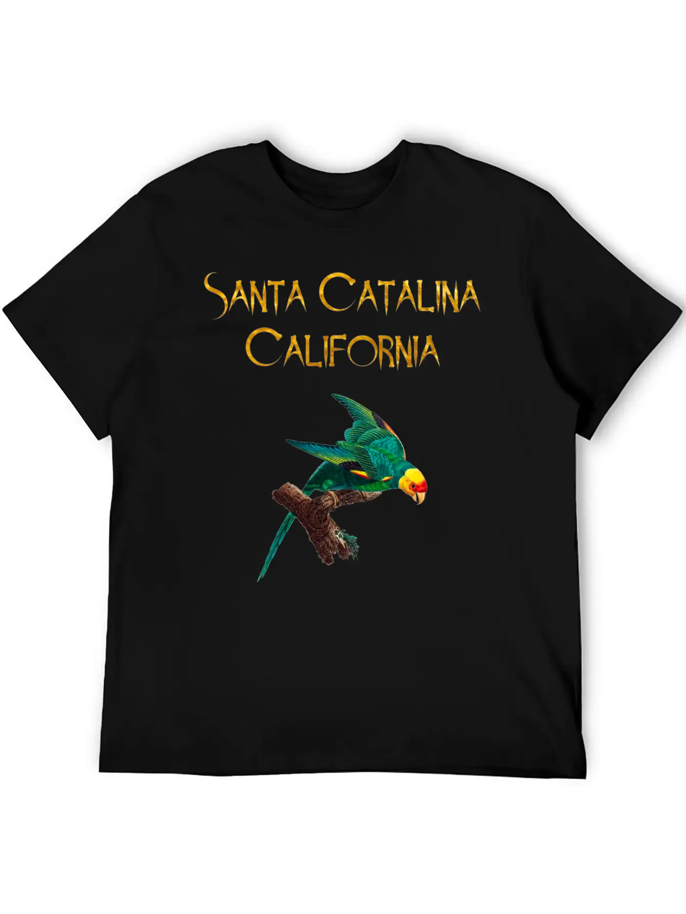 Santa Catalina California Stylish Everyday T-Shirt – Unisex Basic Cotton Tee