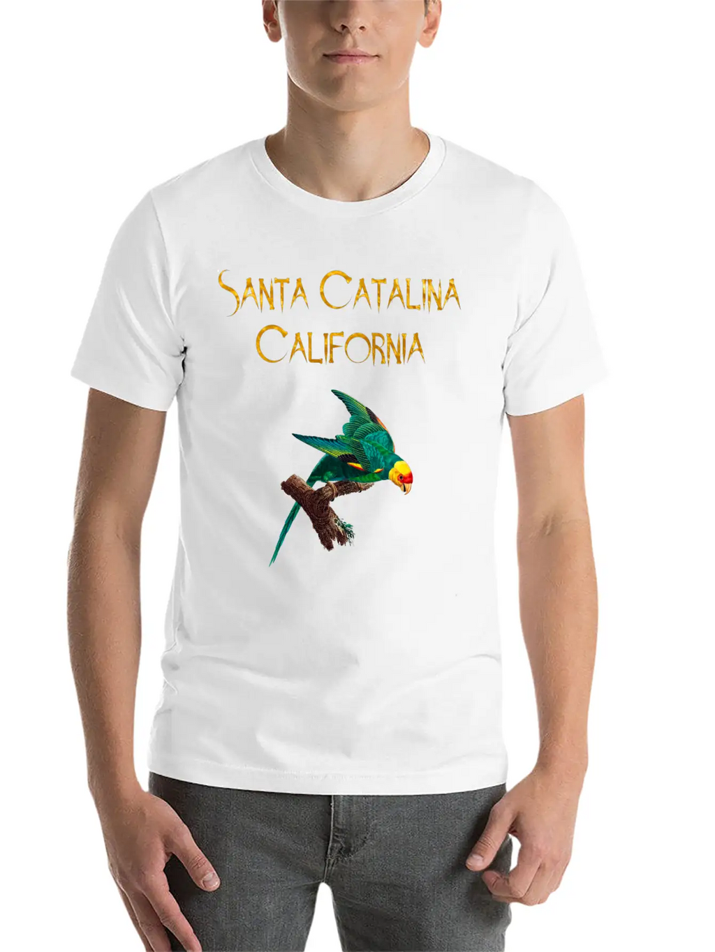 Santa Catalina California Stylish Everyday T-Shirt – Unisex Basic Cotton Tee