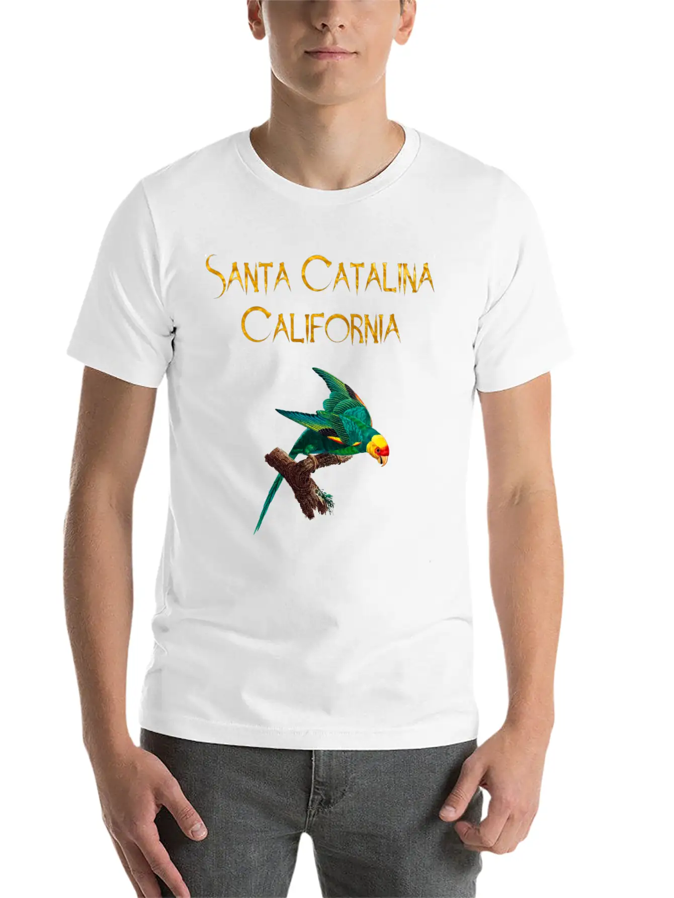 Santa Catalina California Stylish Everyday T-Shirt – Unisex Basic Cotton Tee