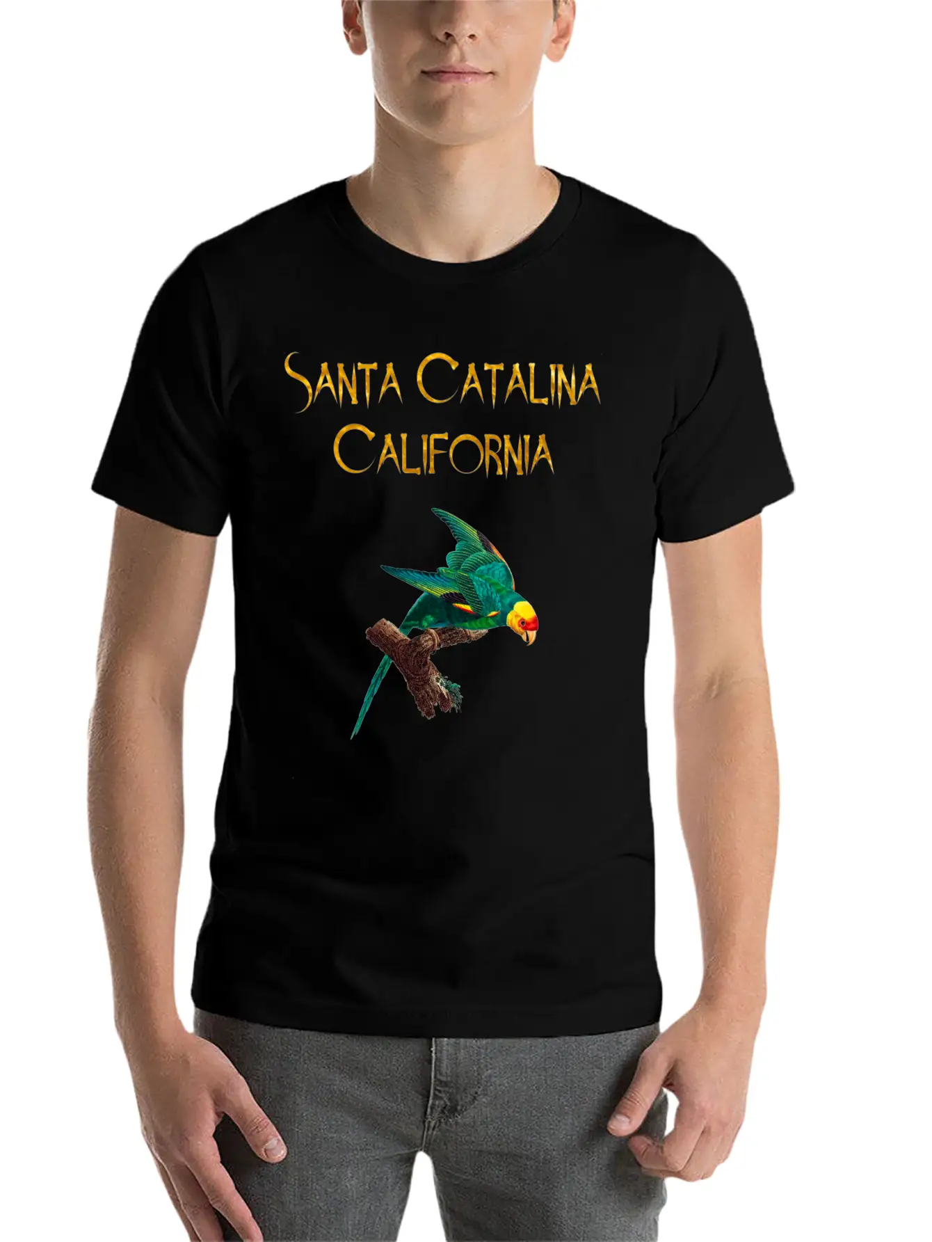 Santa Catalina California Stylish Everyday T-Shirt – Unisex Basic Cotton Tee