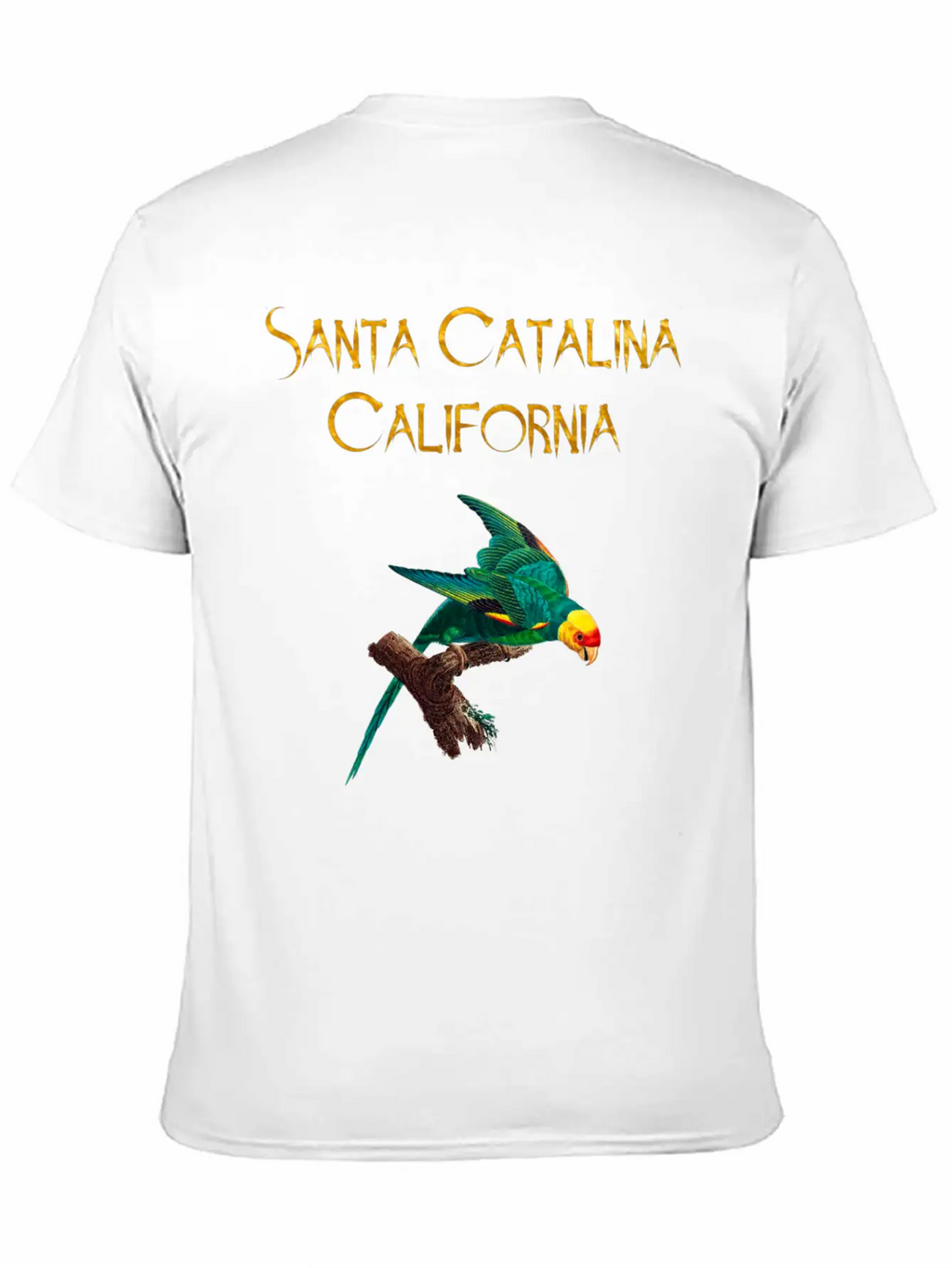 Santa Catalina California Stylish Everyday T-Shirt – Unisex Basic Cotton Tee