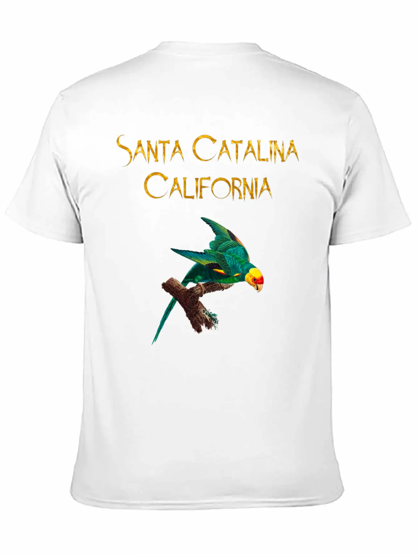 Santa Catalina California Stylish Everyday T-Shirt – Unisex Basic Cotton Tee