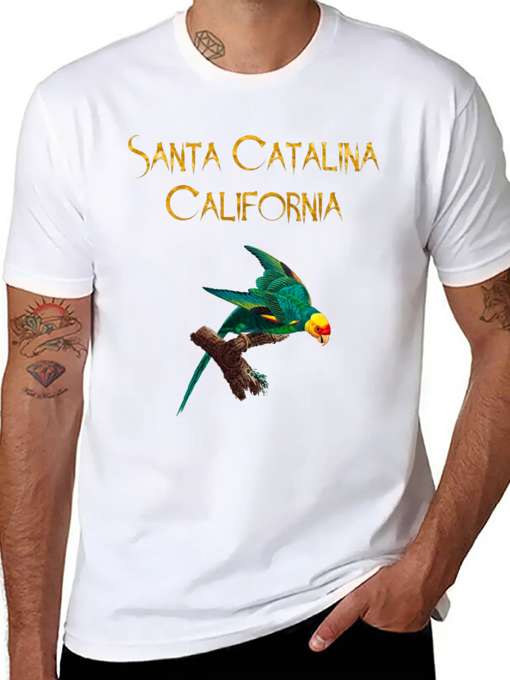 Santa Catalina California Stylish Everyday T-Shirt – Unisex Basic Cotton Tee