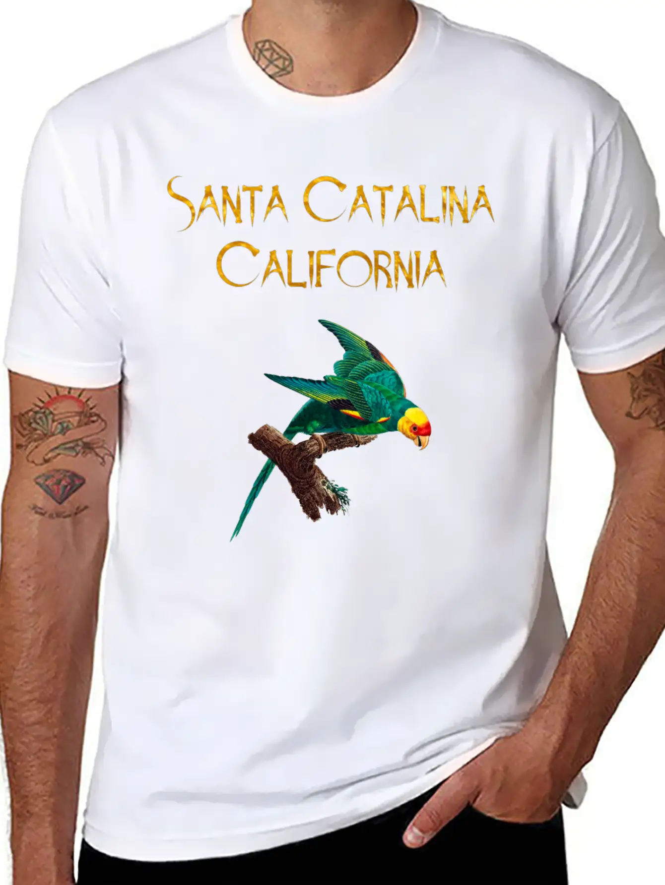 Santa Catalina California Stylish Everyday T-Shirt – Unisex Basic Cotton Tee