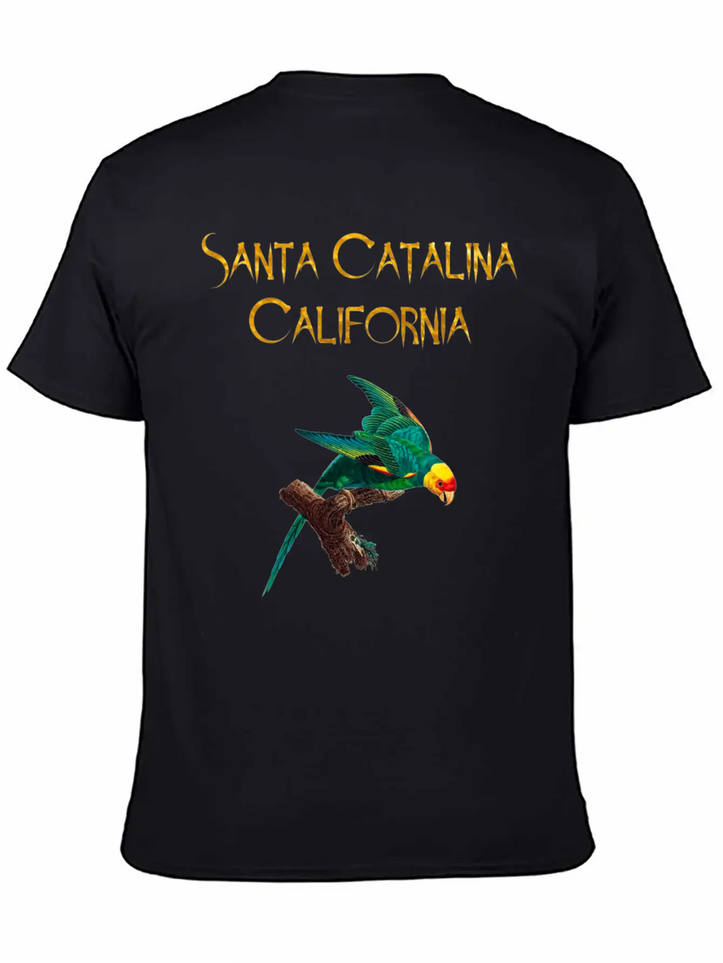 Santa Catalina California Stylish Everyday T-Shirt – Unisex Basic Cotton Tee