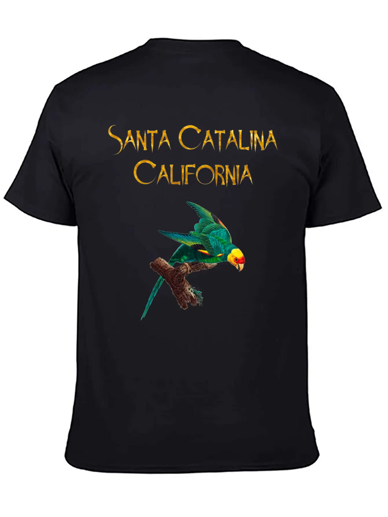 Santa Catalina California Stylish Everyday T-Shirt – Unisex Basic Cotton Tee