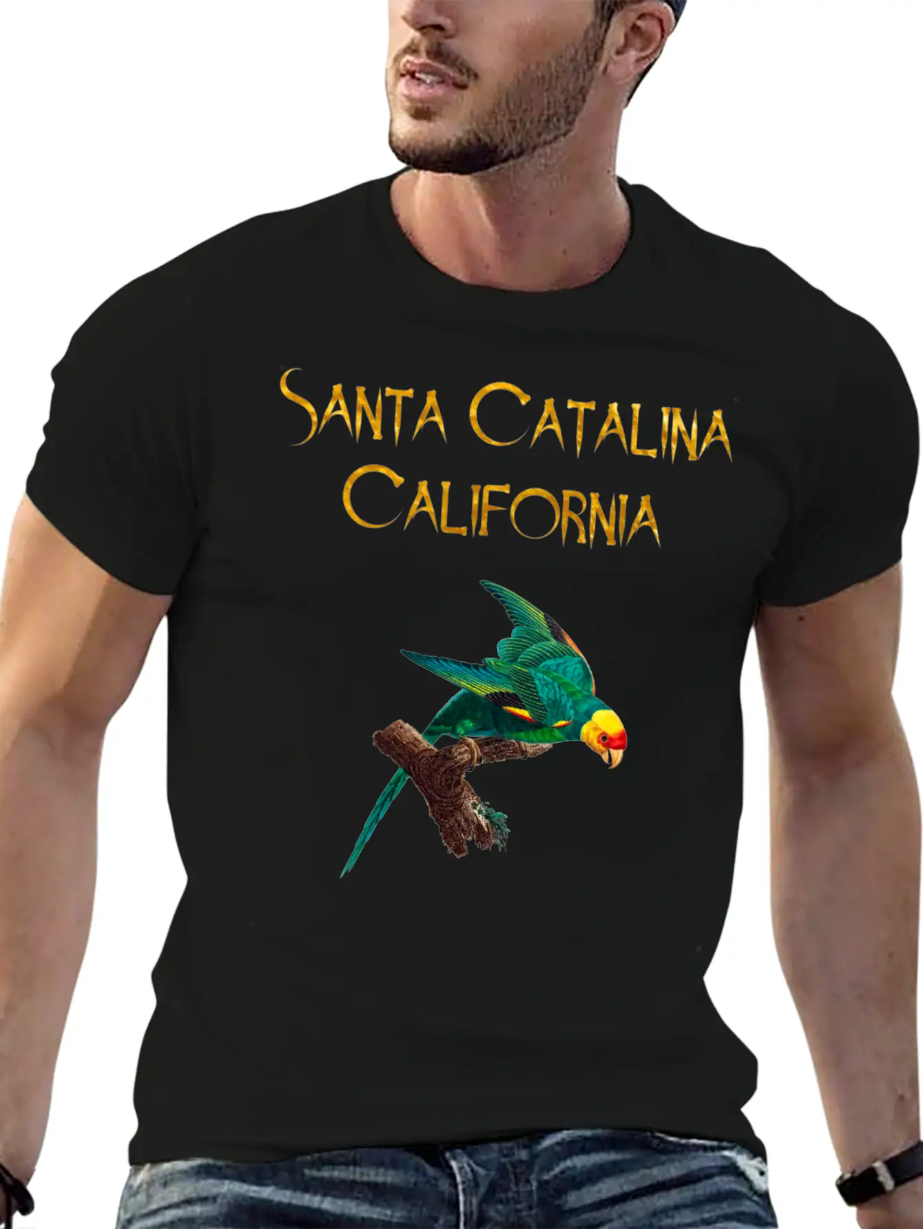 Santa Catalina California Stylish Everyday T-Shirt – Unisex Basic Cotton Tee