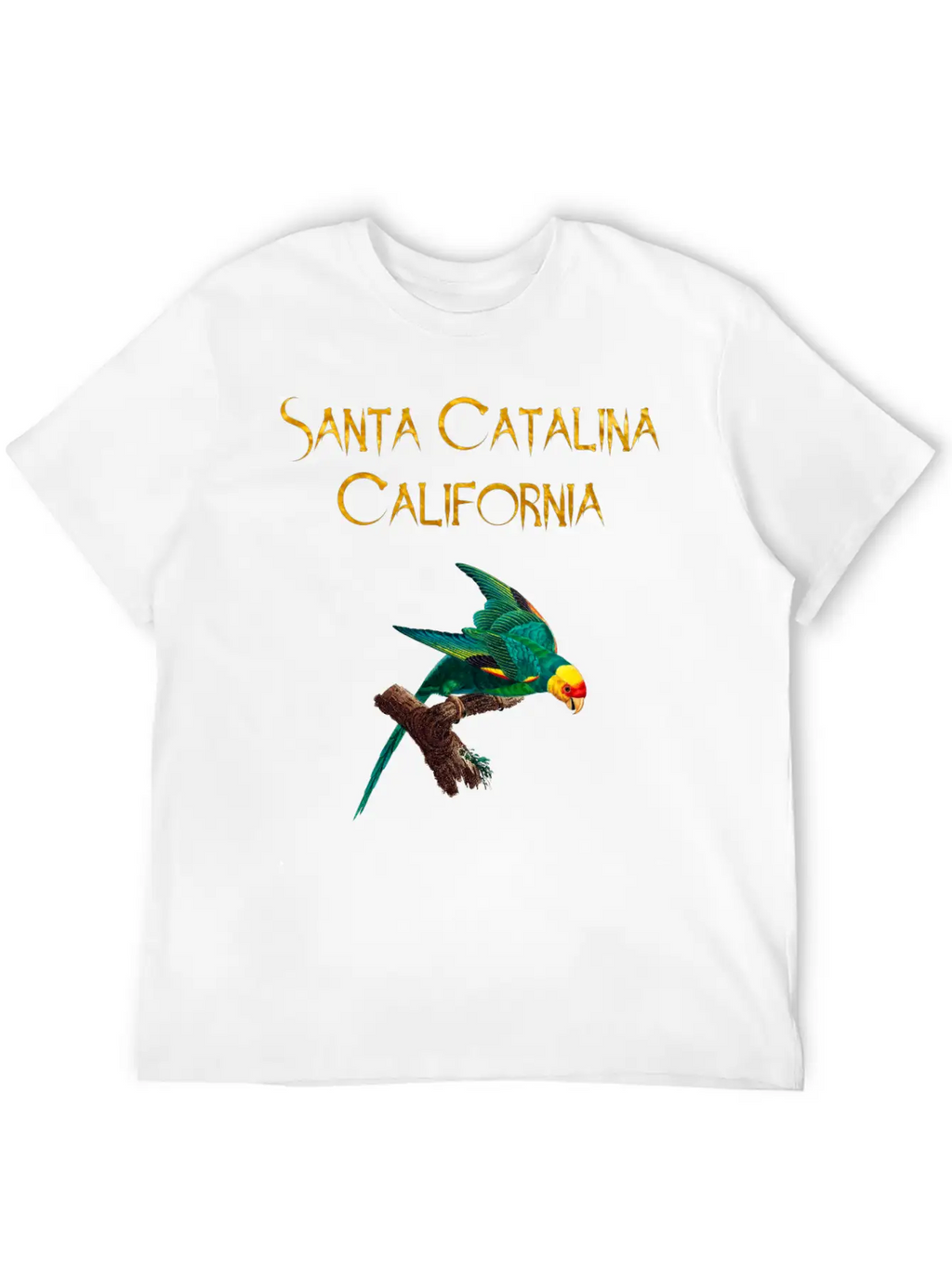 Santa Catalina California Stylish Everyday T-Shirt – Unisex Basic Cotton Tee