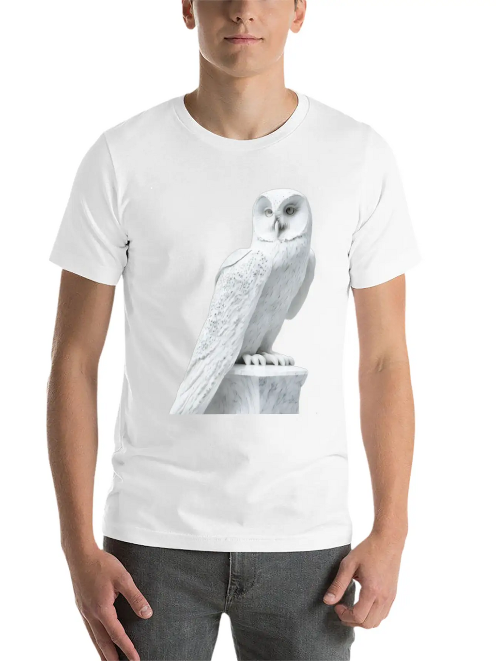 Snowy Owl Graphic Stylish Everyday T-Shirt – Unisex Basic Cotton Tee
