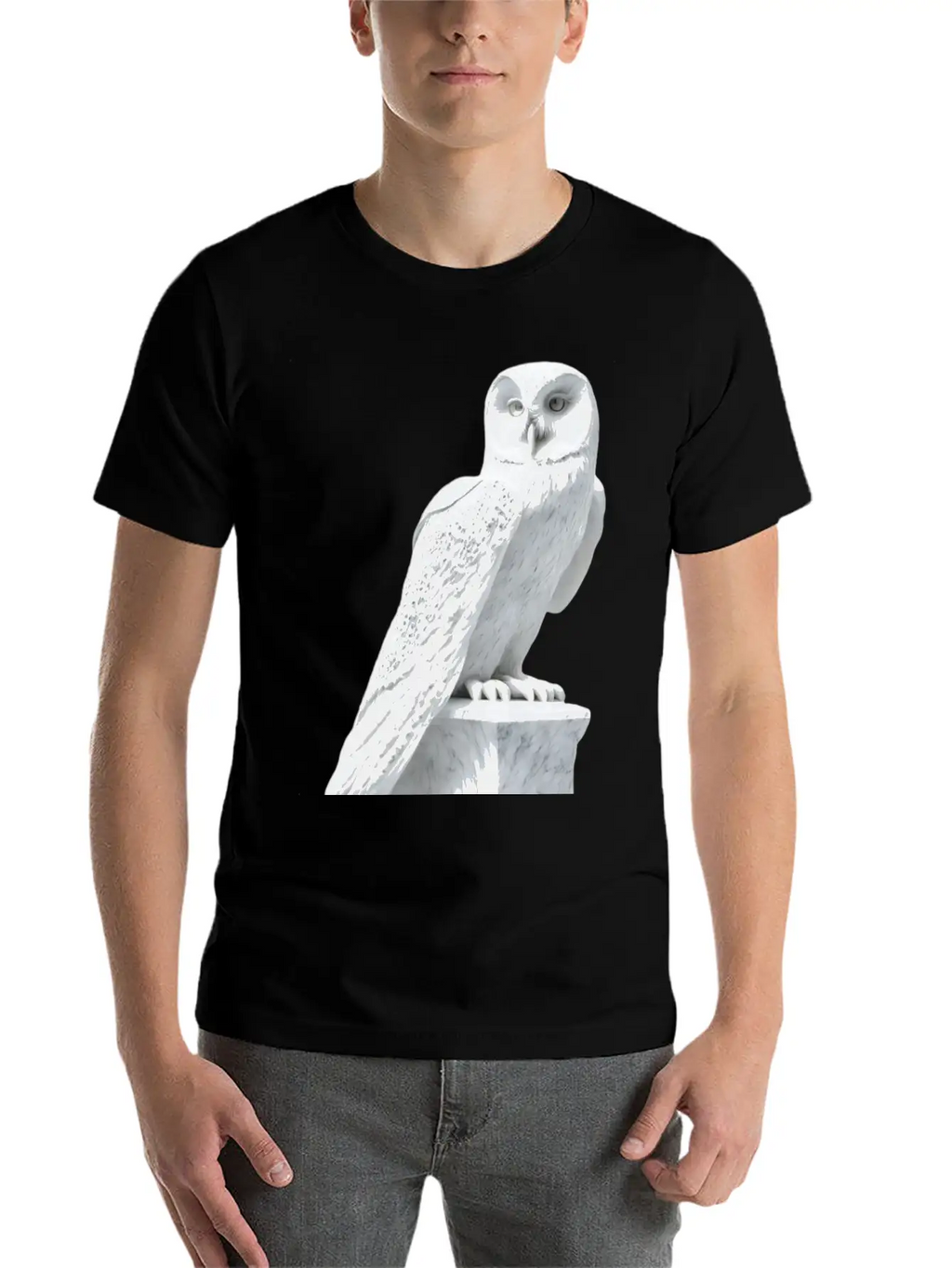 Snowy Owl Graphic Stylish Everyday T-Shirt – Unisex Basic Cotton Tee