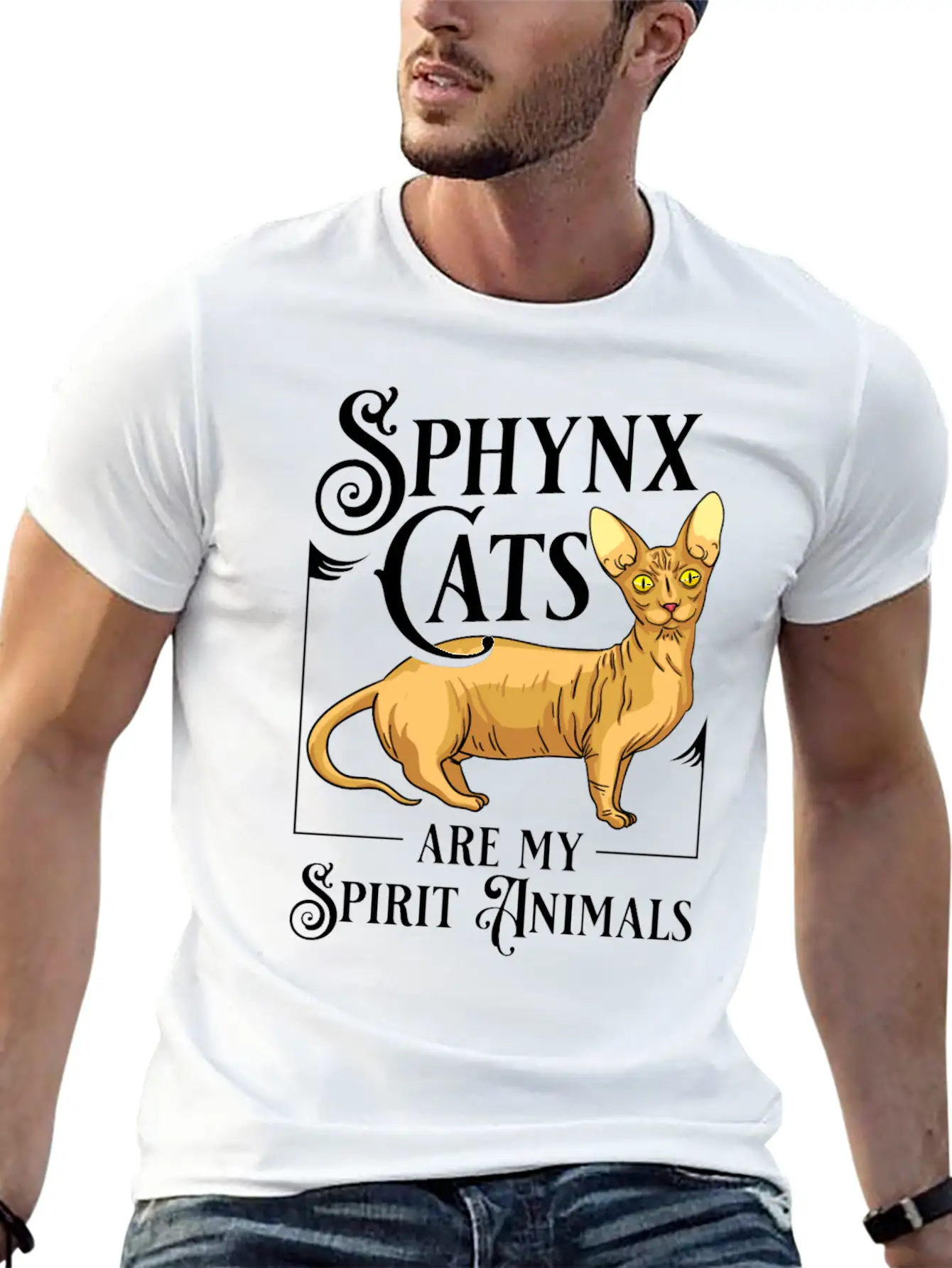 Sphynx Cat Hairless Kitten Egypt Funny Relaxed Everyday Tee – Lightweight And Durable Cotton