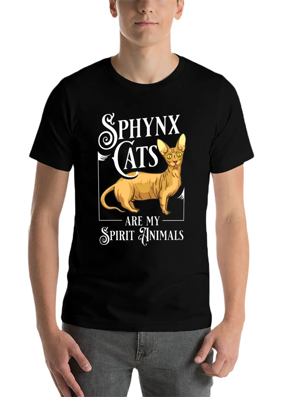 Sphynx Cat Hairless Kitten Egypt Funny Relaxed Everyday Tee – Lightweight And Durable Cotton
