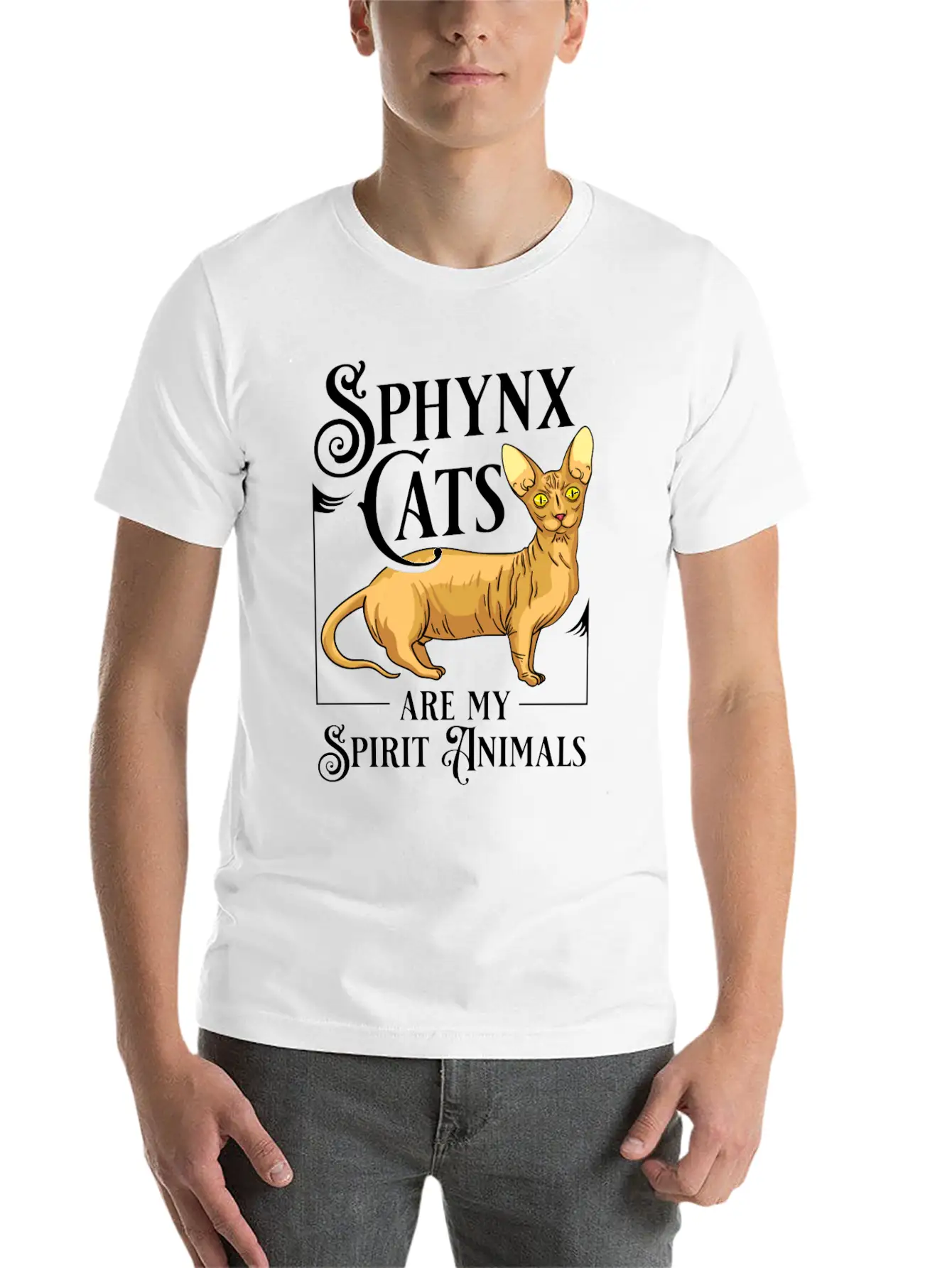 Sphynx Cat Hairless Kitten Egypt Funny Relaxed Everyday Tee – Lightweight And Durable Cotton