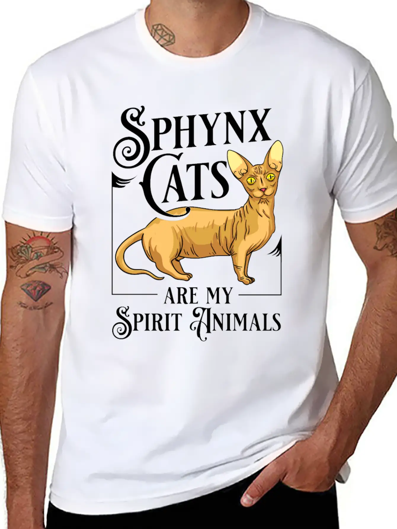 Sphynx Cat Hairless Kitten Egypt Funny Relaxed Everyday Tee – Lightweight And Durable Cotton
