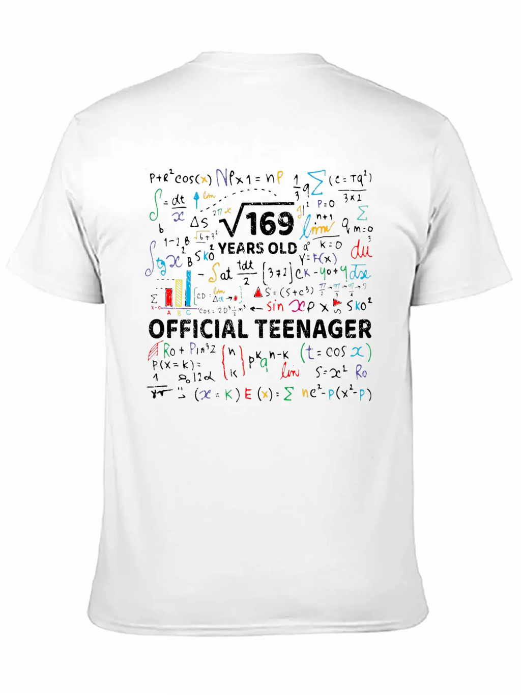 Square Root Of 169 13 Years Old Official Teenager Modern Fit Casual T-Shirt – Clean And Versatile Design