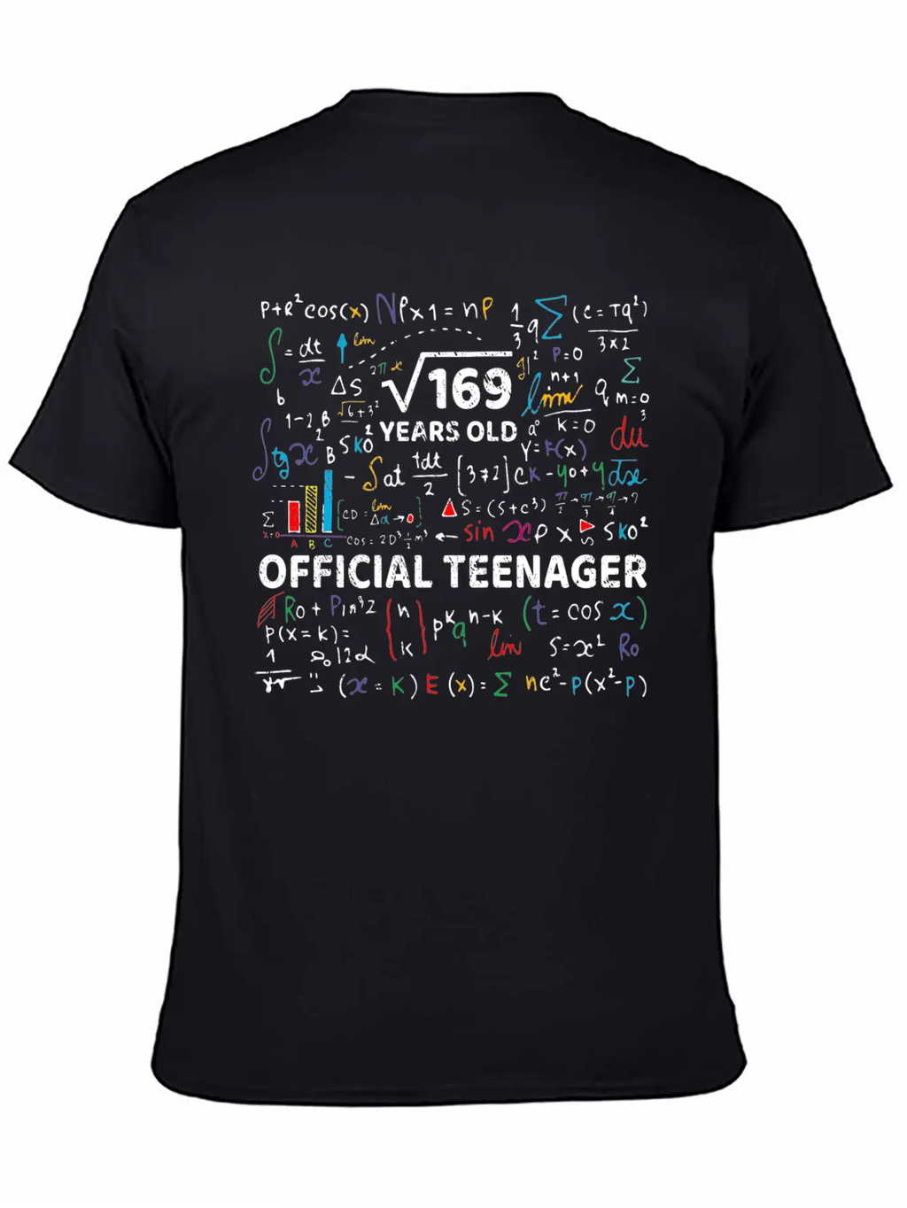 Square Root Of 169 13 Years Old Official Teenager Modern Fit Casual T-Shirt – Clean And Versatile Design