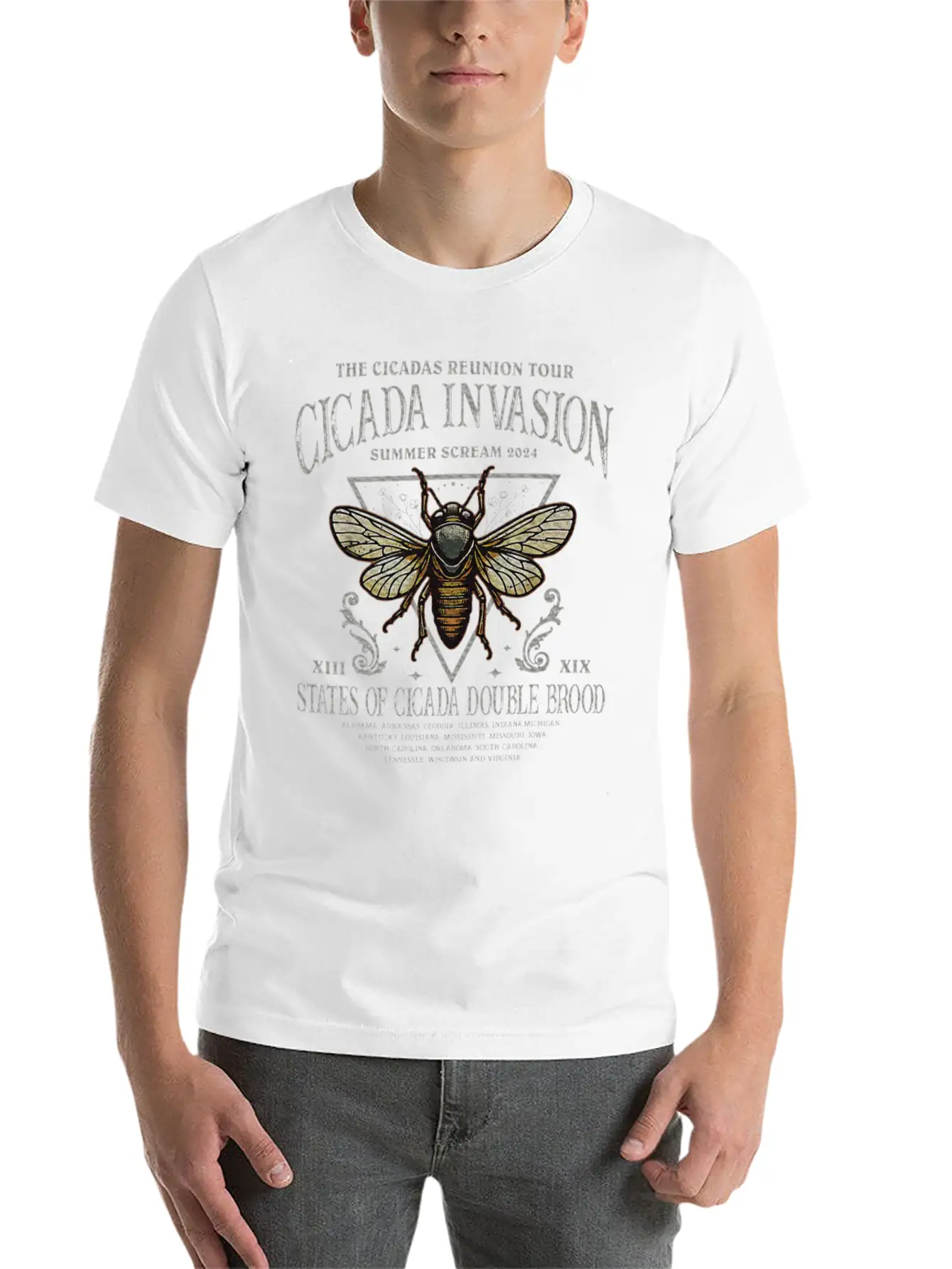 The Cicada Invasion Tour 2024 Summer Scream Timeless Short Sleeve Tee – Comfy And Minimalist Design