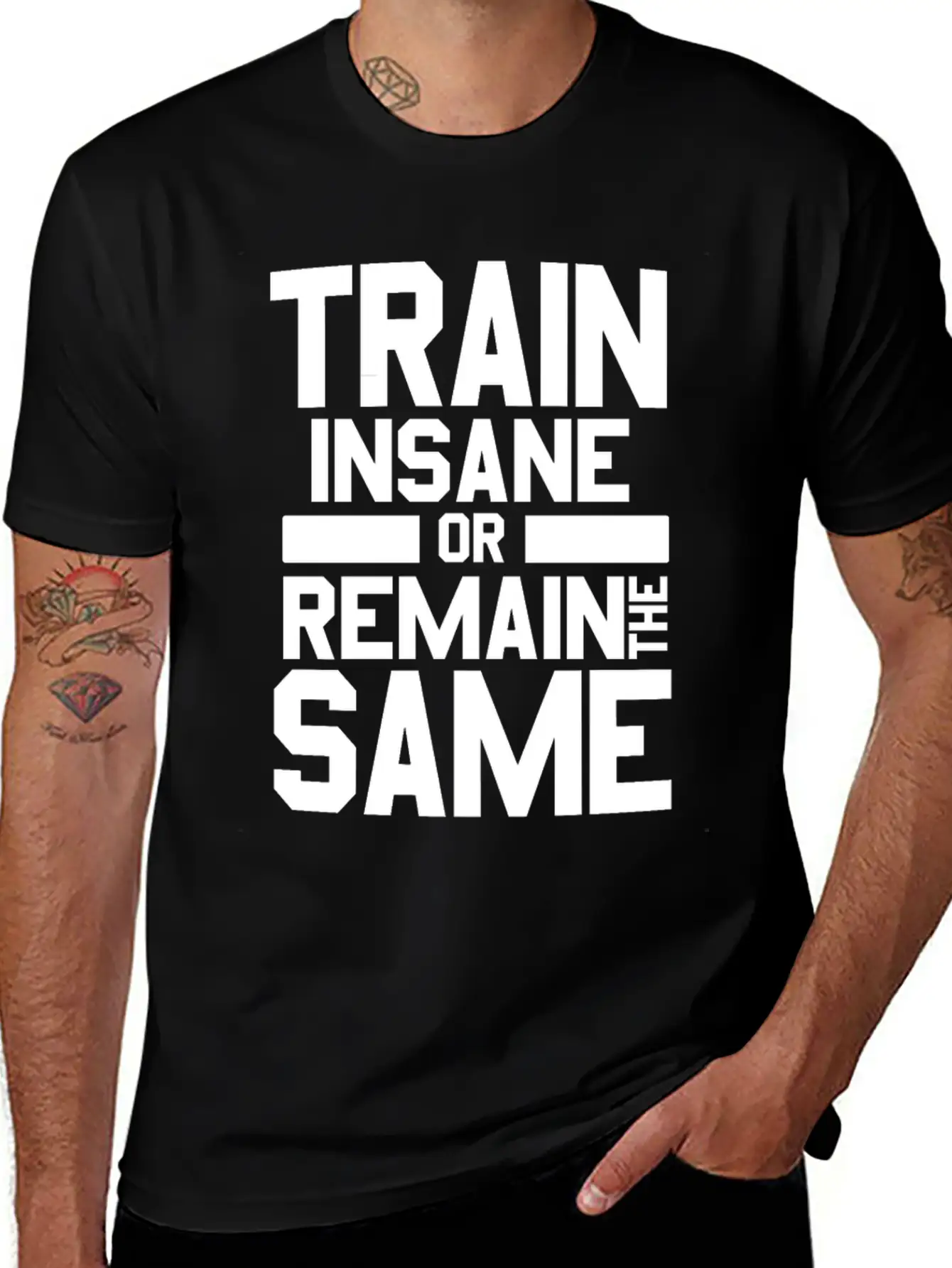 Train Insane Or Remain The Same Bodybuilders Gym Stylish Everyday T-Shirt – Unisex Basic Cotton Tee