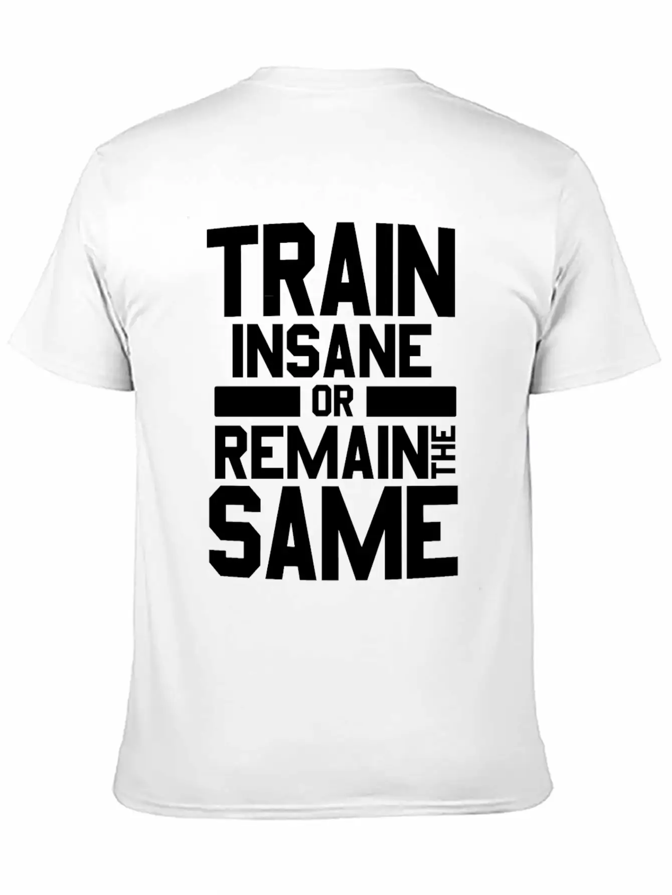 Train Insane Or Remain The Same Bodybuilders Gym Stylish Everyday T-Shirt – Unisex Basic Cotton Tee