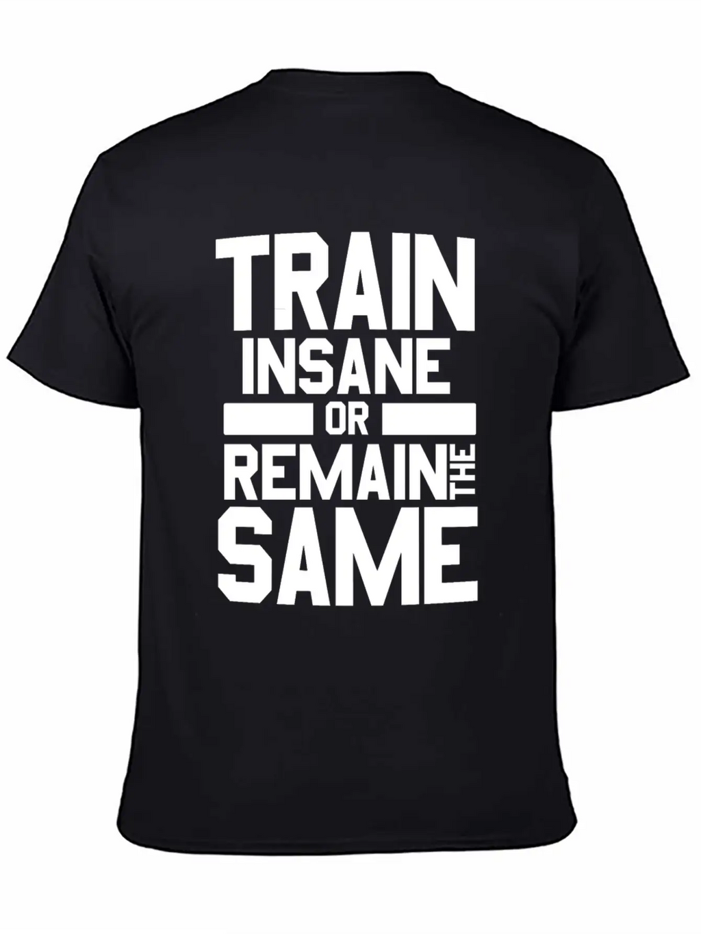 Train Insane Or Remain The Same Bodybuilders Gym Stylish Everyday T-Shirt – Unisex Basic Cotton Tee